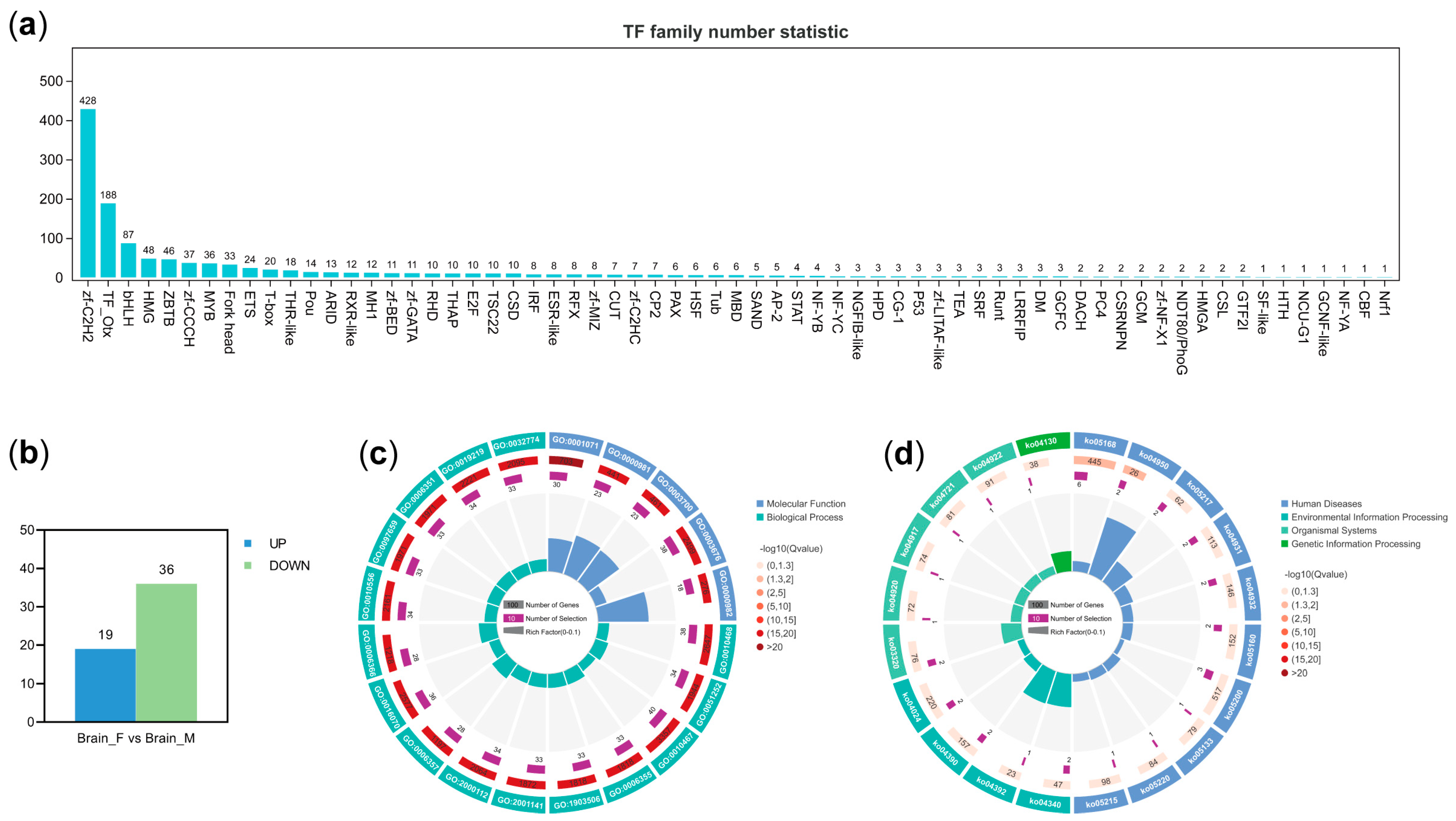 Animals 14 03426 g005