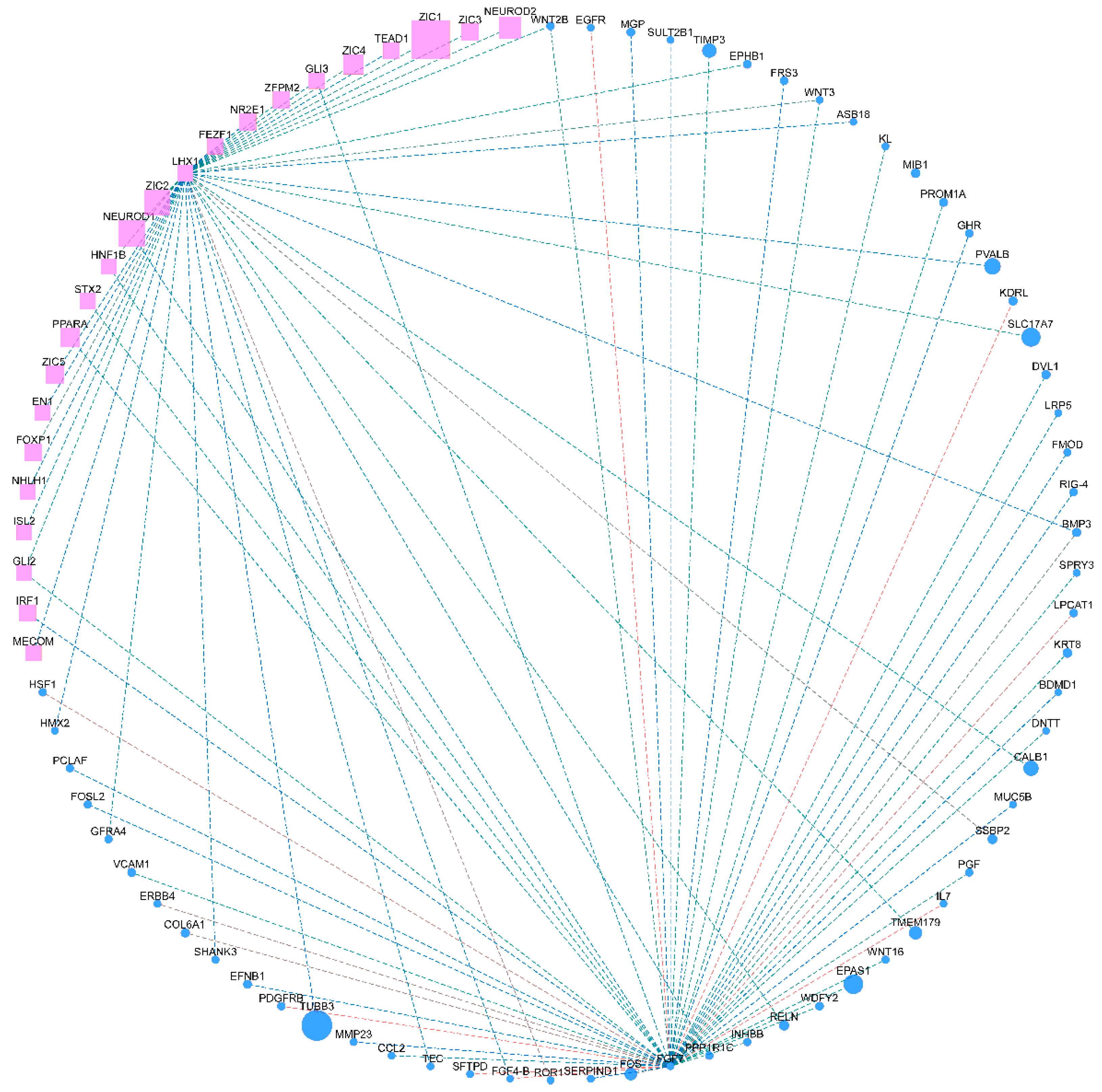 Animals 14 03426 g006