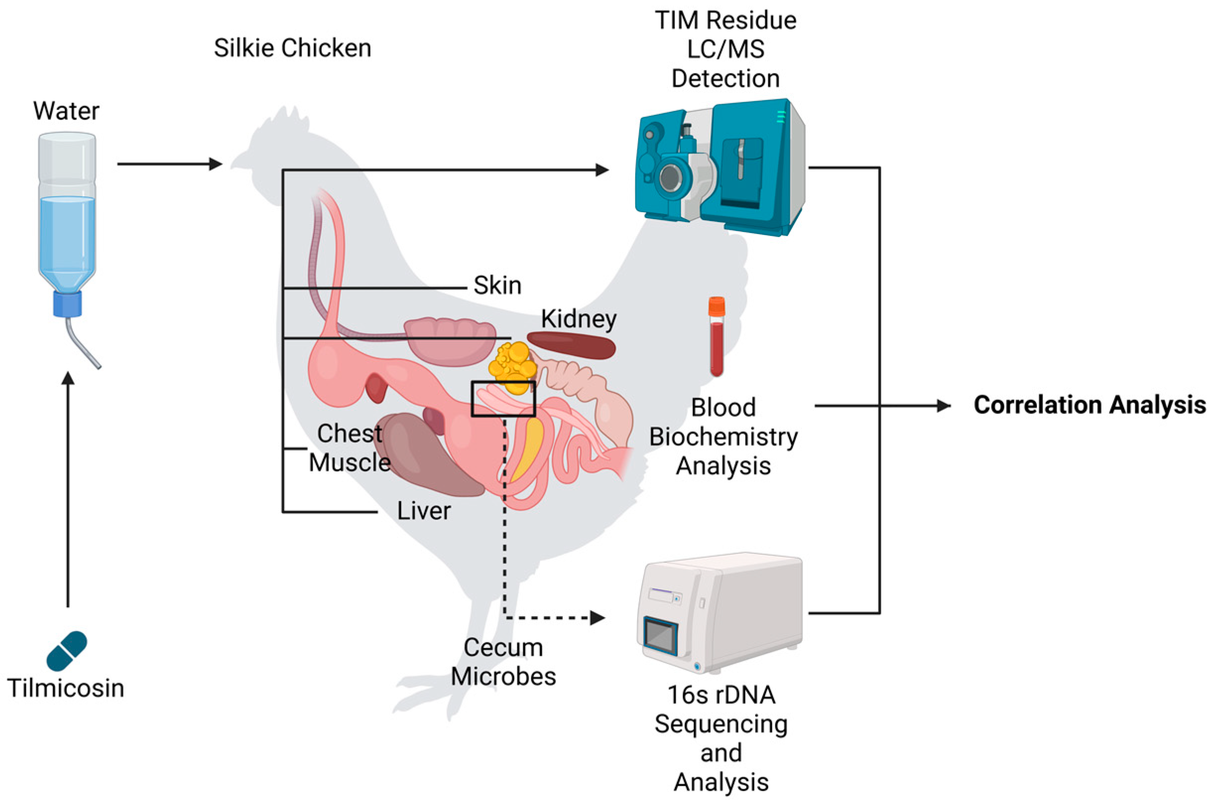 Animals 14 03428 g001