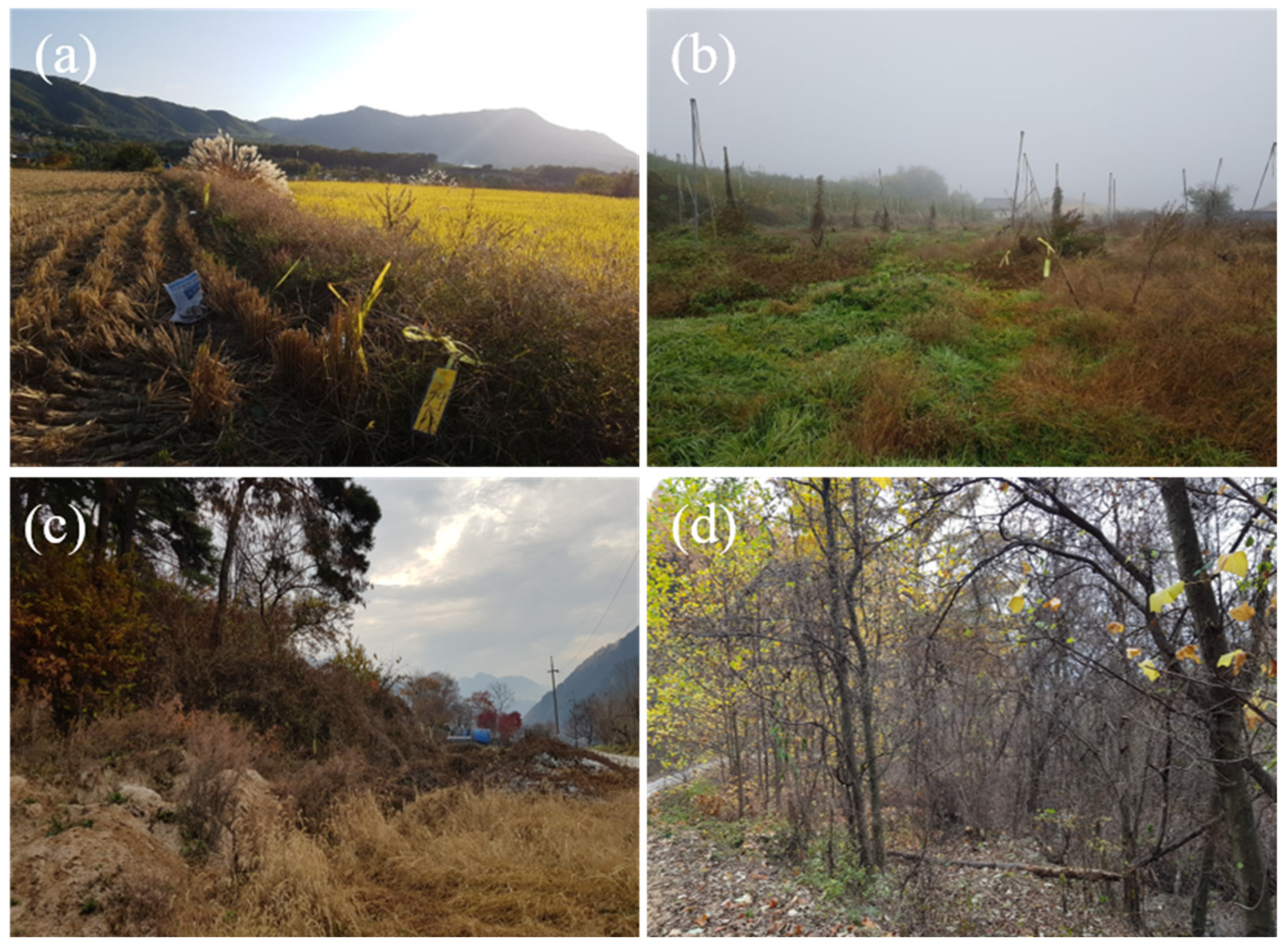 Animals 14 03433 g001 Animals 14 03433 g001