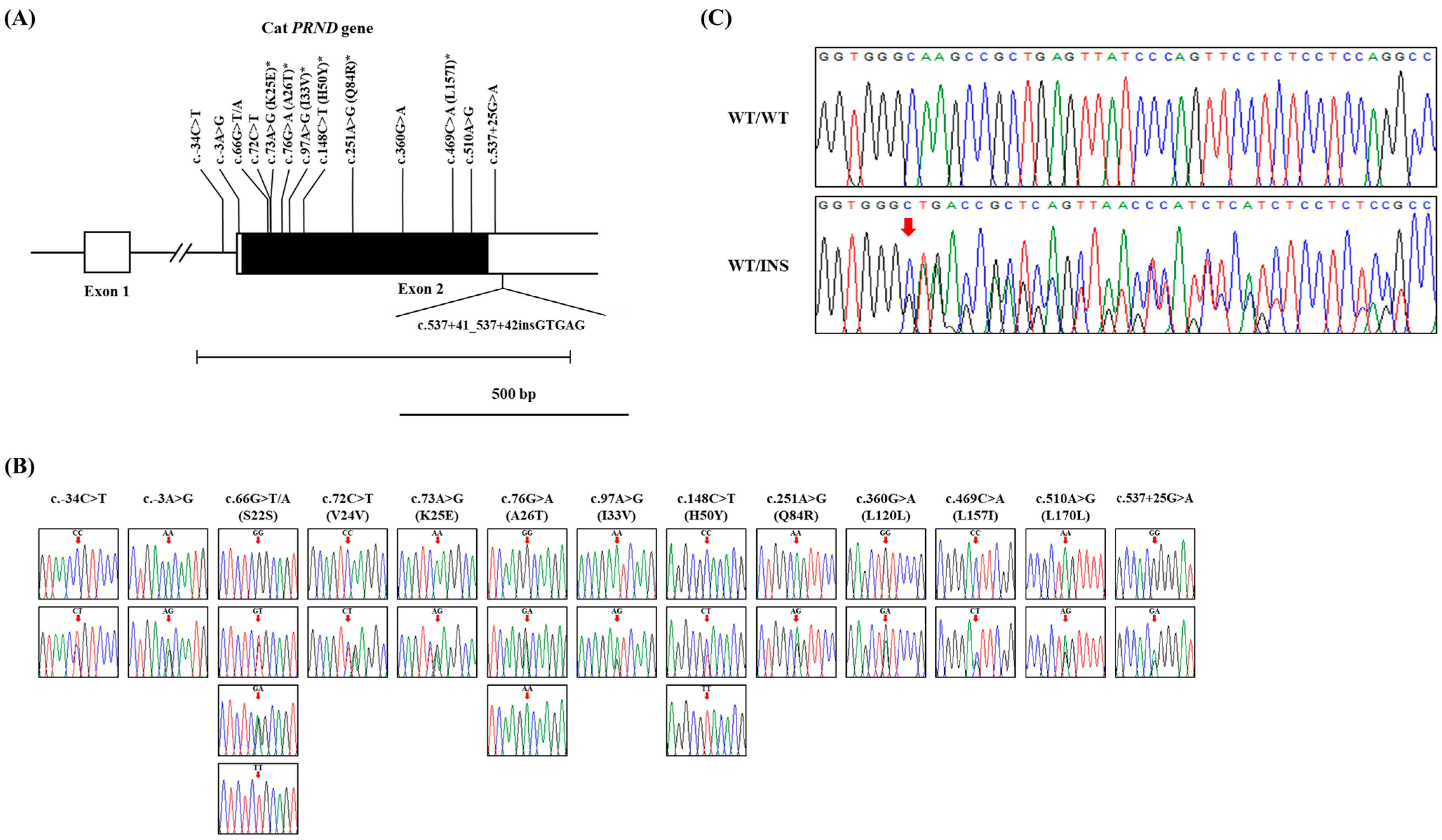 Animals 14 03438 g001 Animals 14 03438 g001