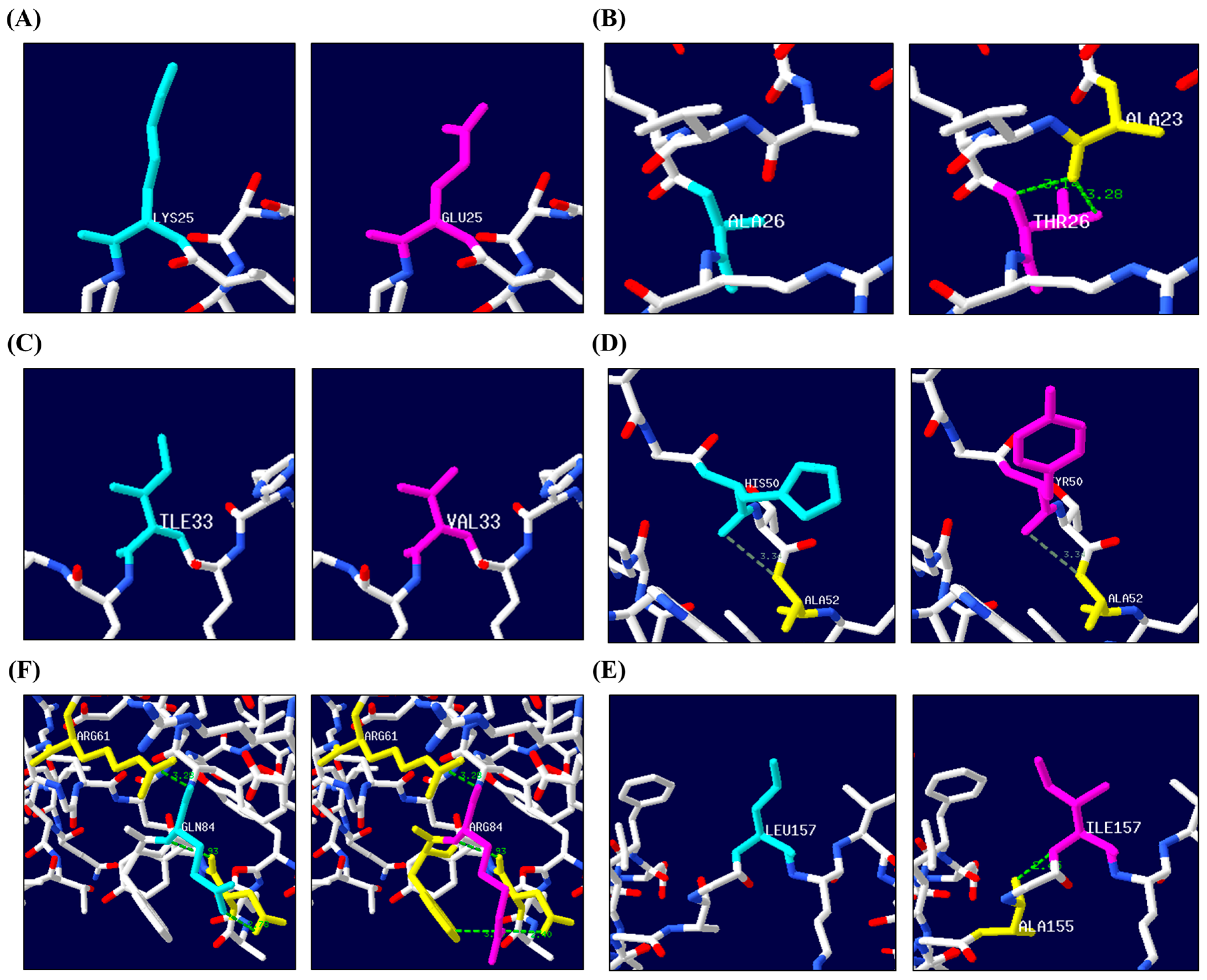 Animals 14 03438 g002 Animals 14 03438 g002