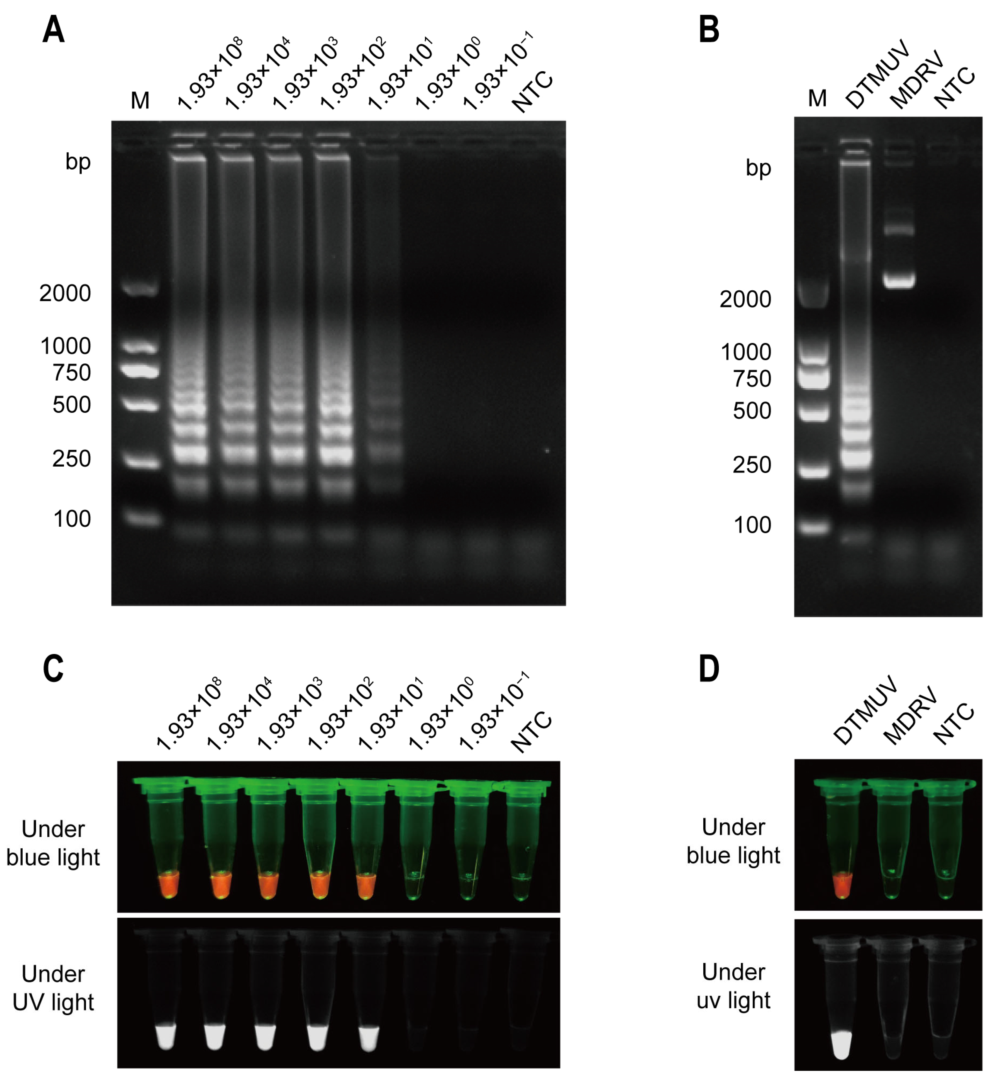 Animals 14 03439 g003