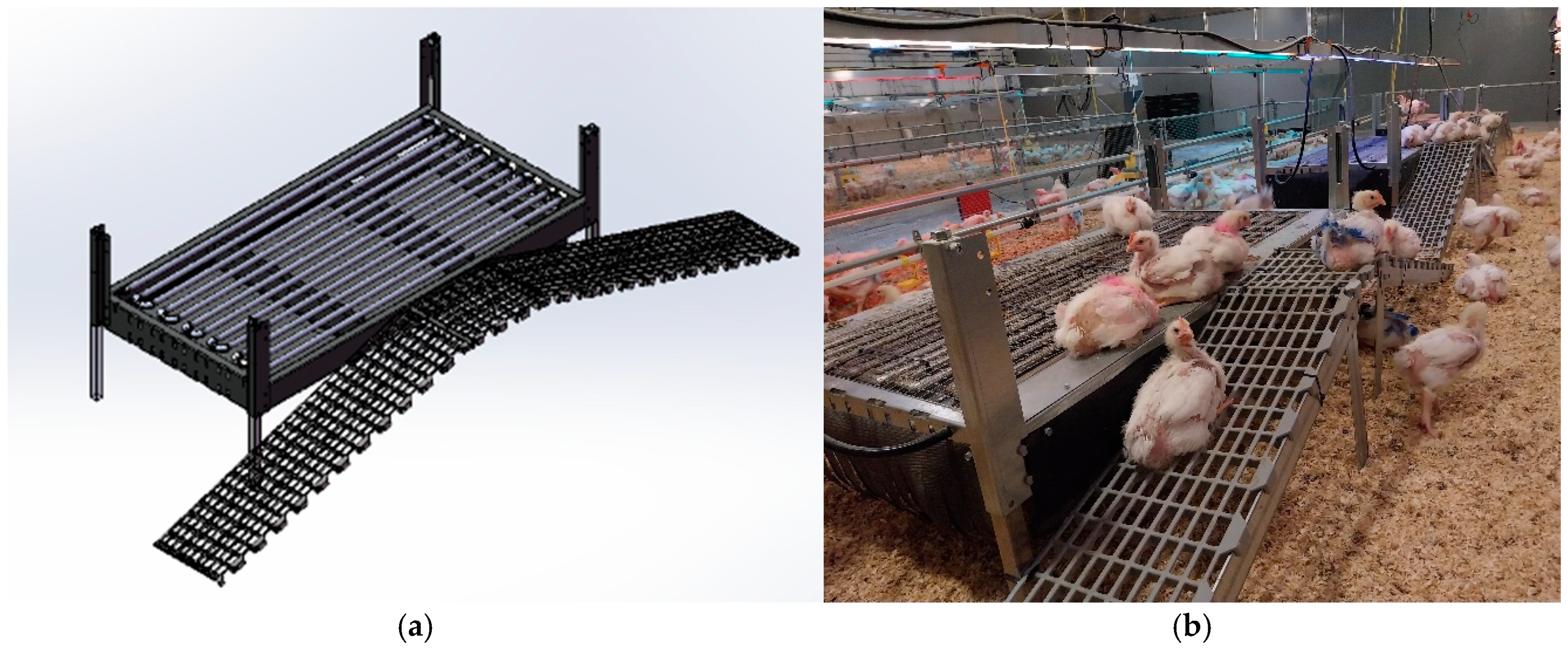 Animals 14 03448 g004