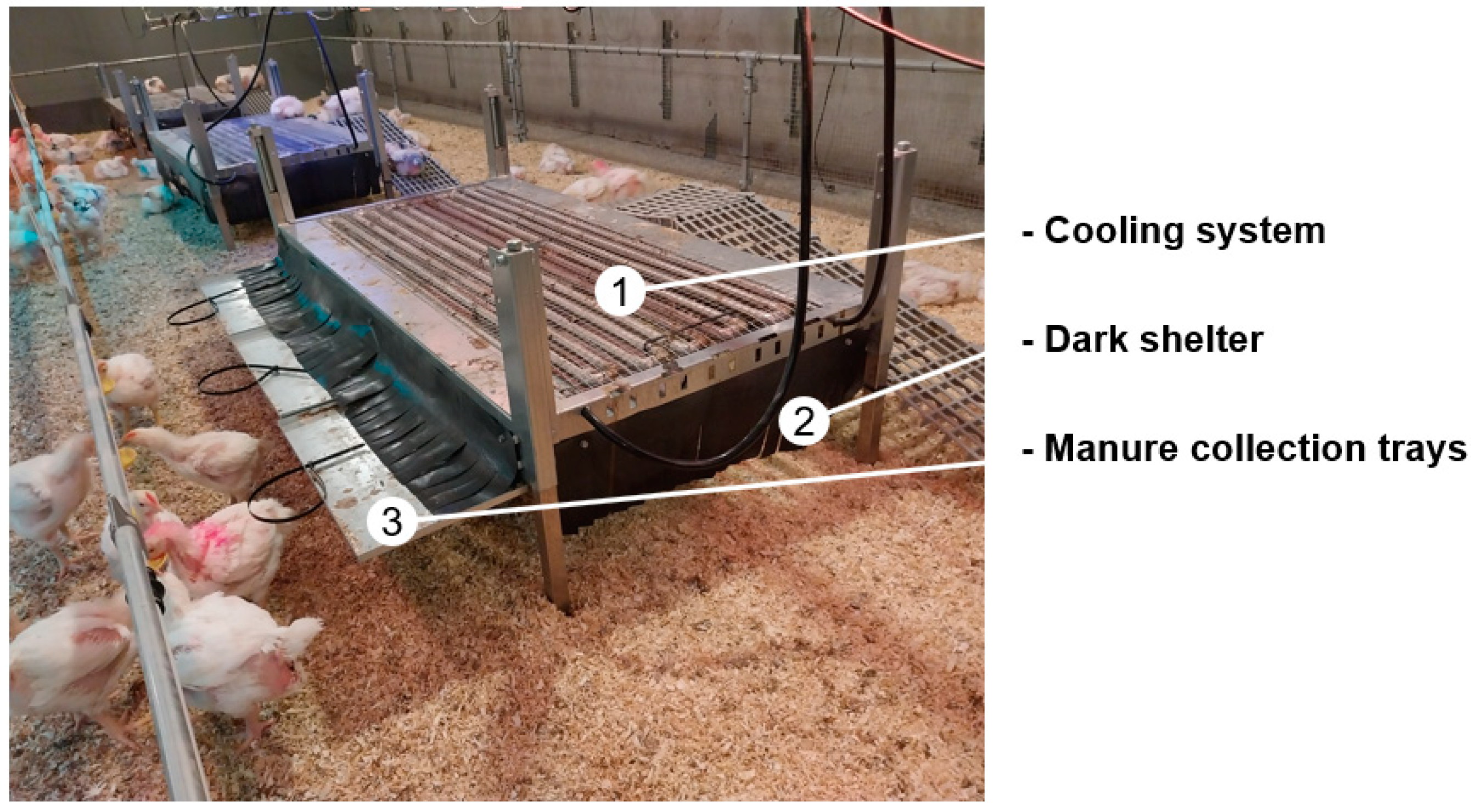 Animals 14 03448 g005