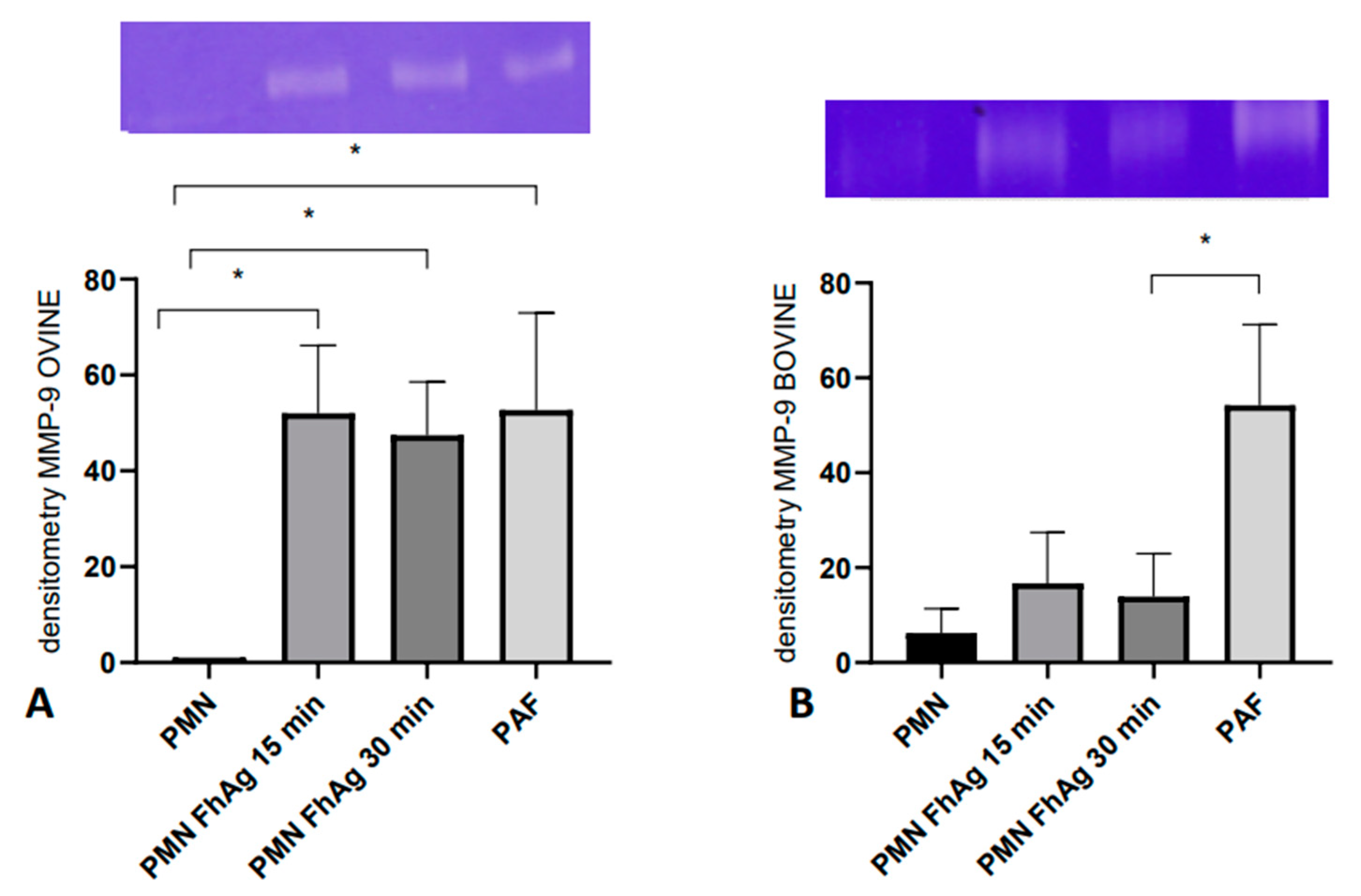 Animals 14 03456 g003