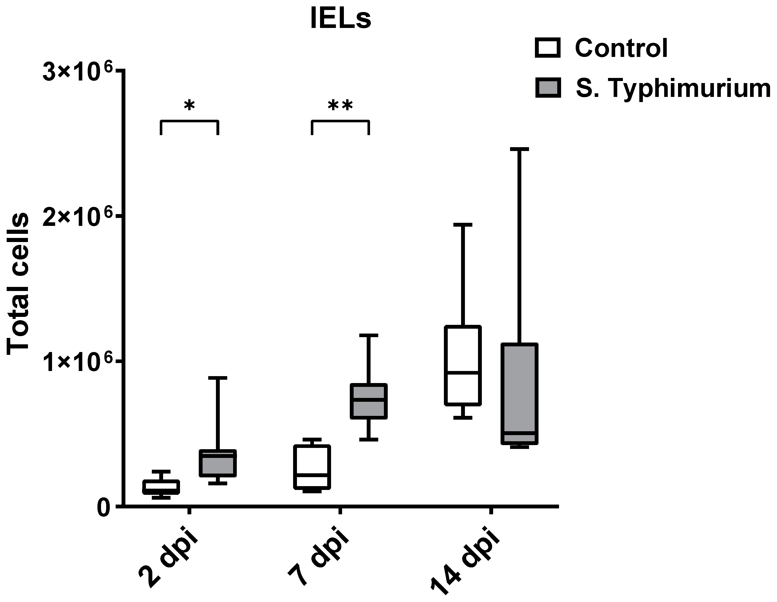 Animals 14 03463 g002 Animals 14 03463 g002