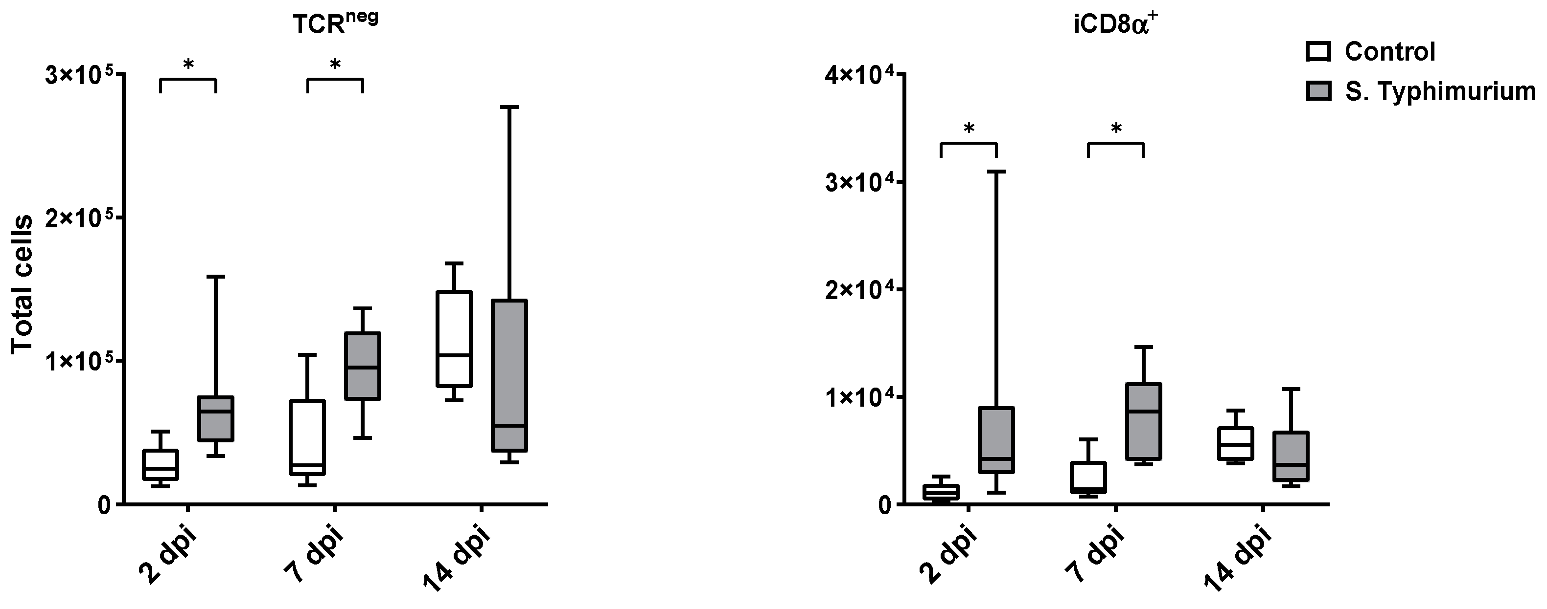 Animals 14 03463 g005 Animals 14 03463 g005