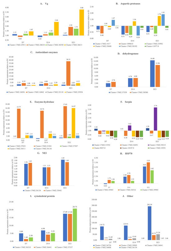 ベリー Egg Protein Compositions over Embryonic Development in