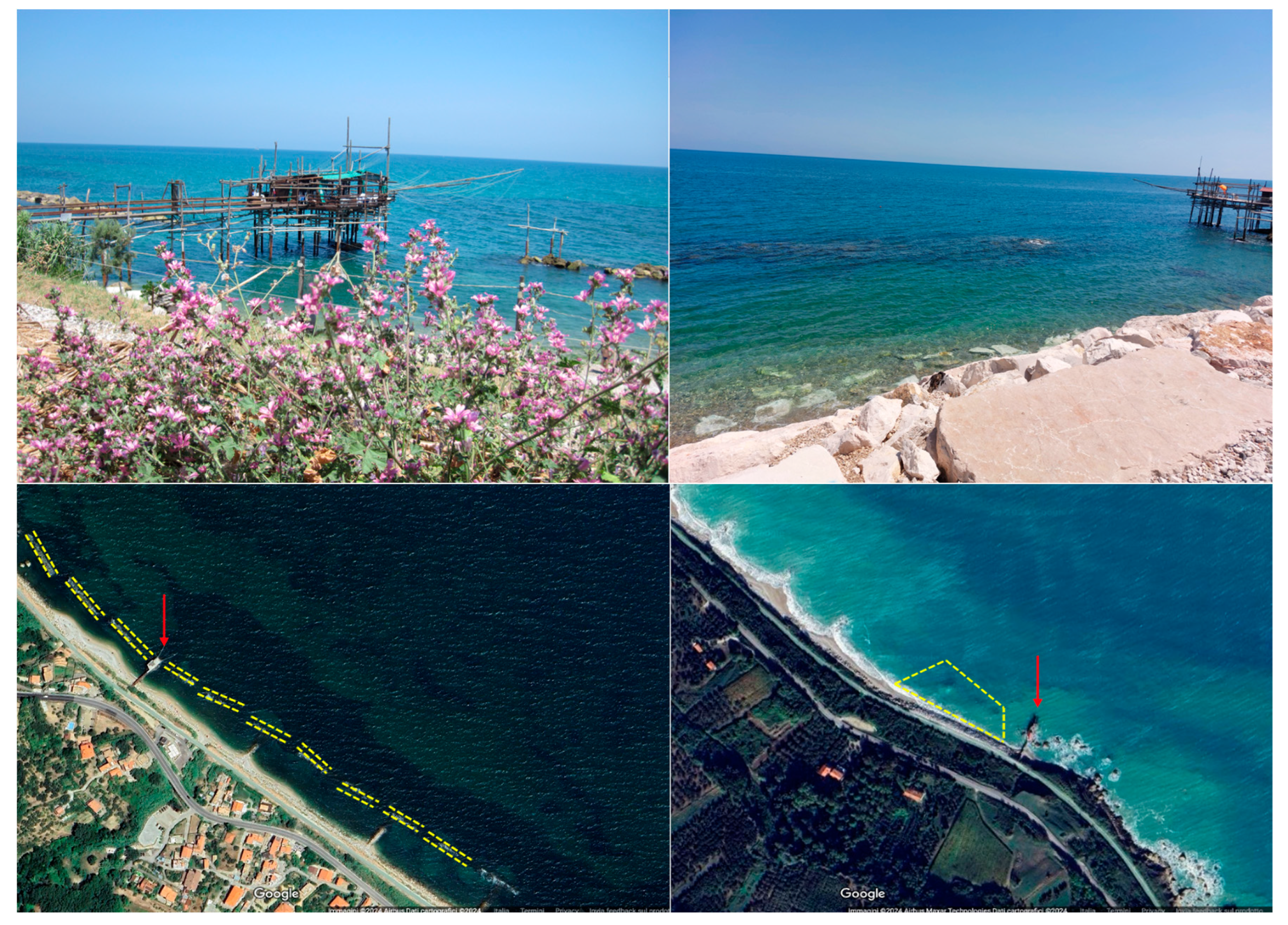 Animals 14 03469 g002