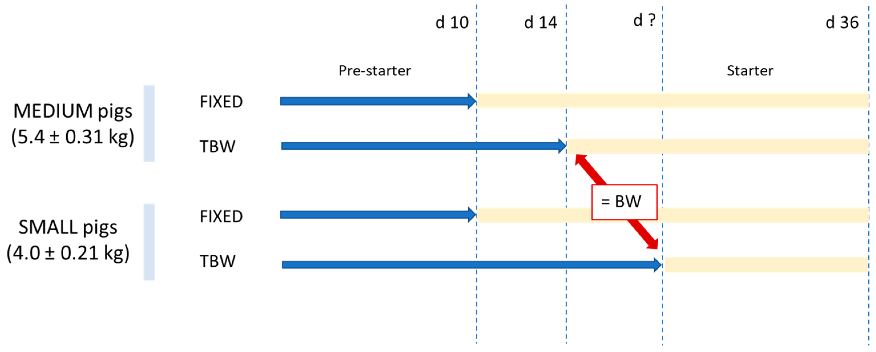 Animals 14 03471 g001