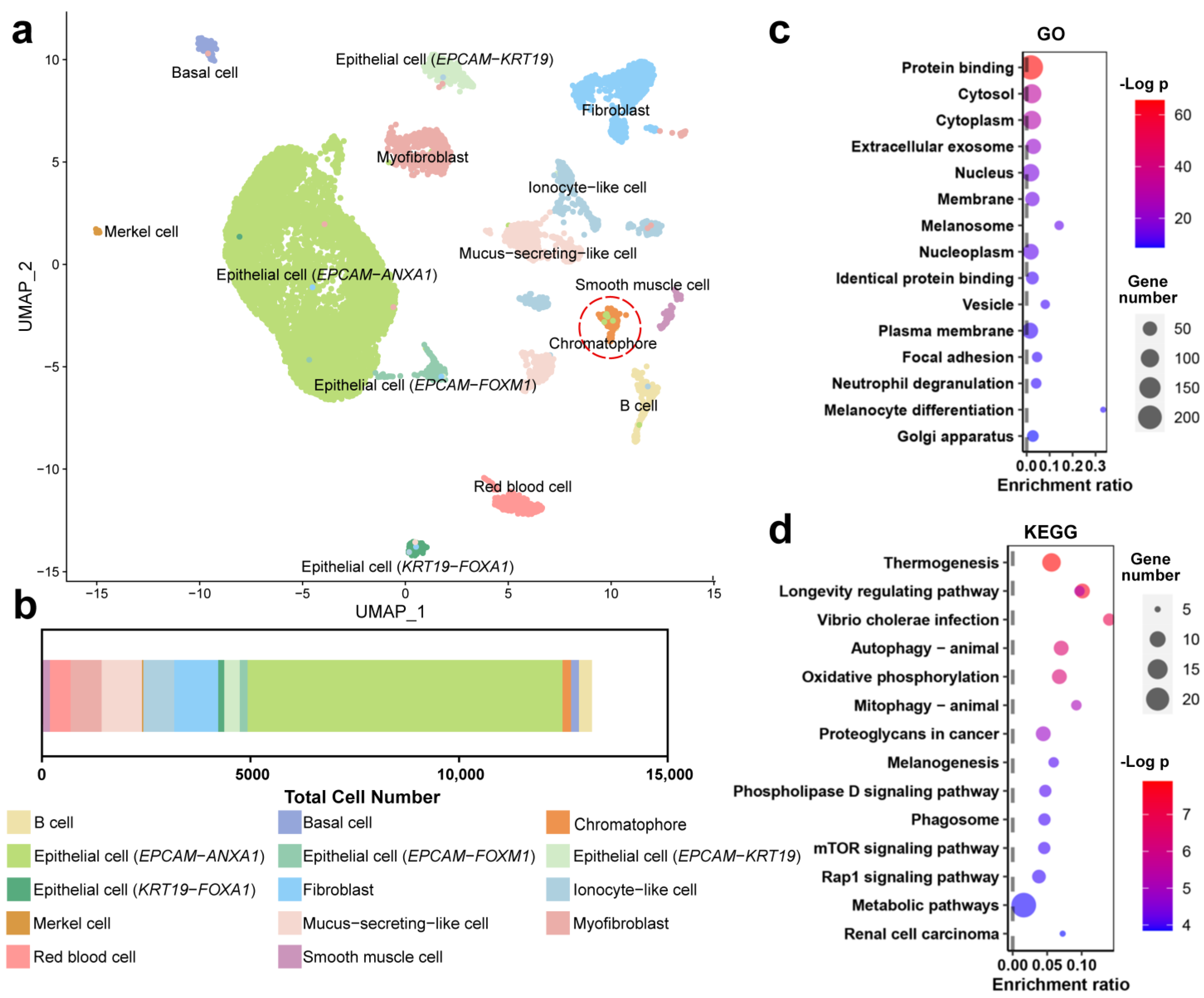 Animals 14 03472 g002 Animals 14 03472 g002