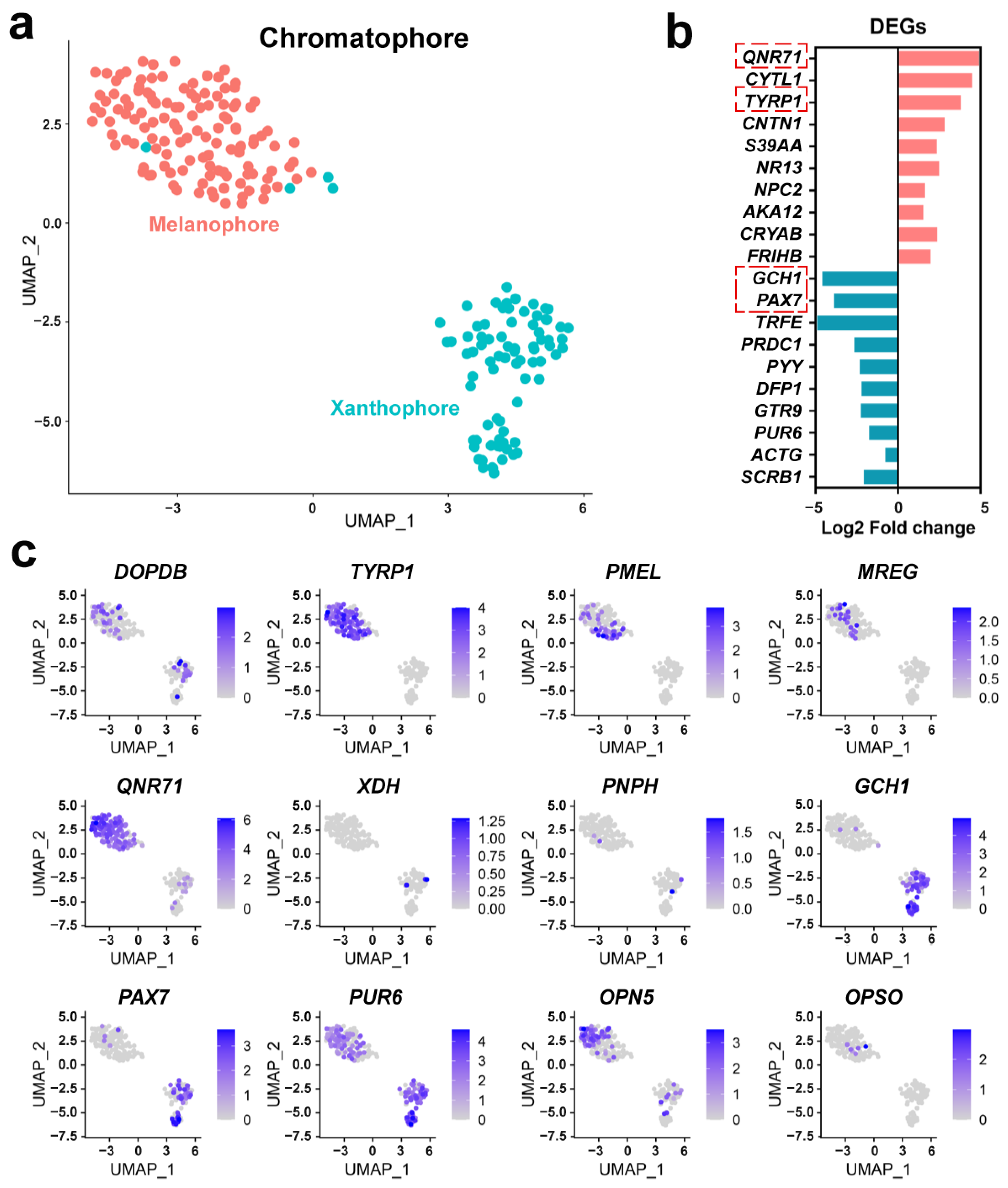 Animals 14 03472 g003 Animals 14 03472 g003