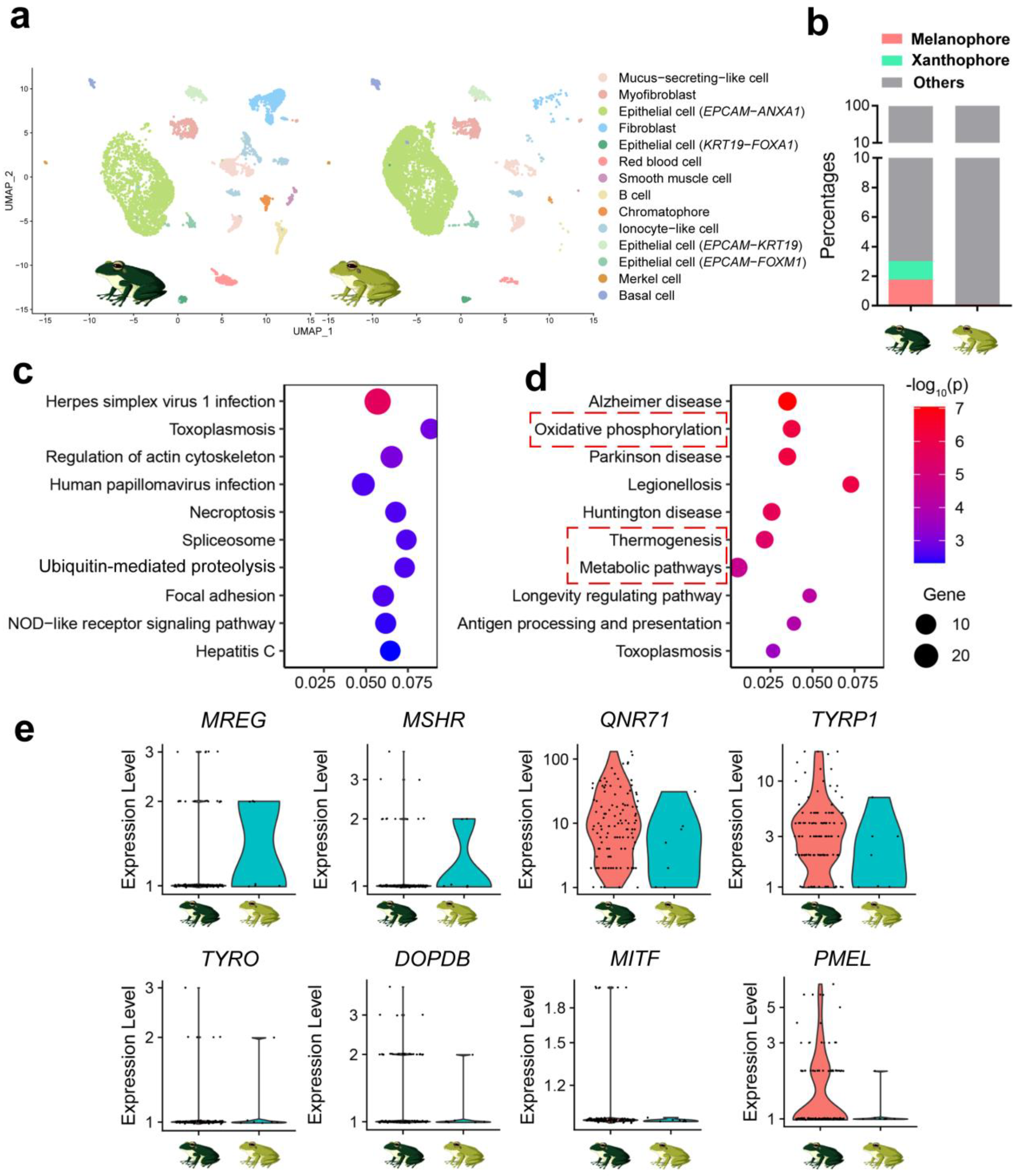 Animals 14 03472 g005 Animals 14 03472 g005