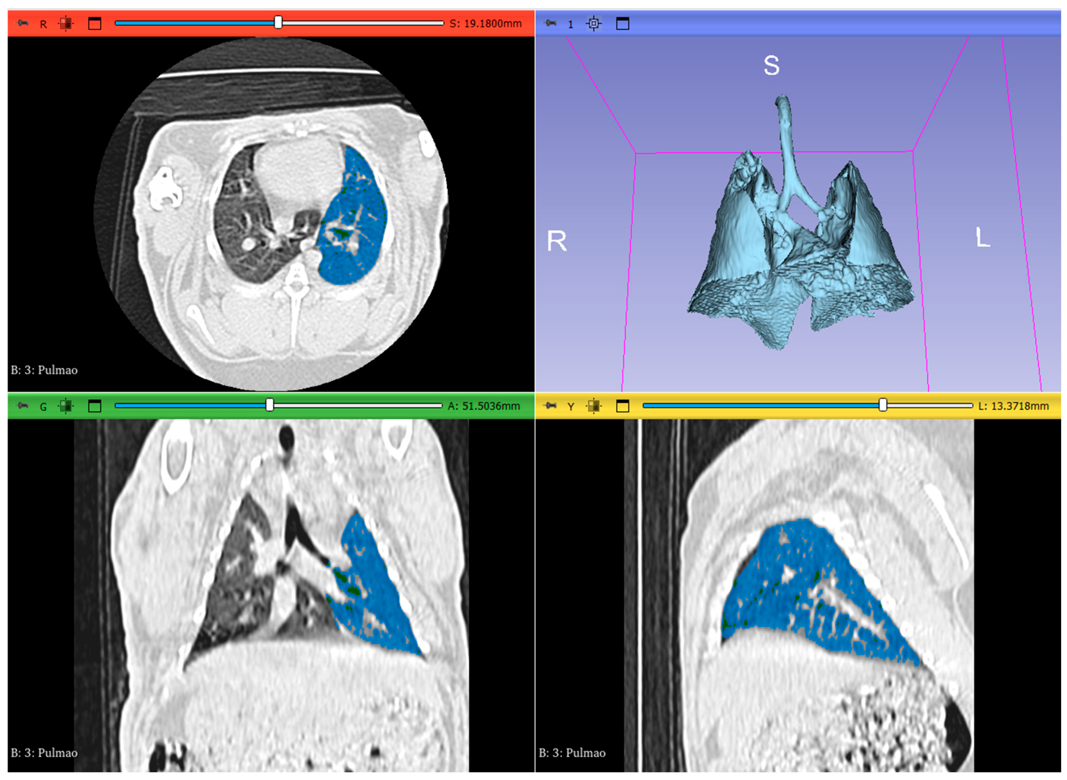 Animals 14 03473 g001