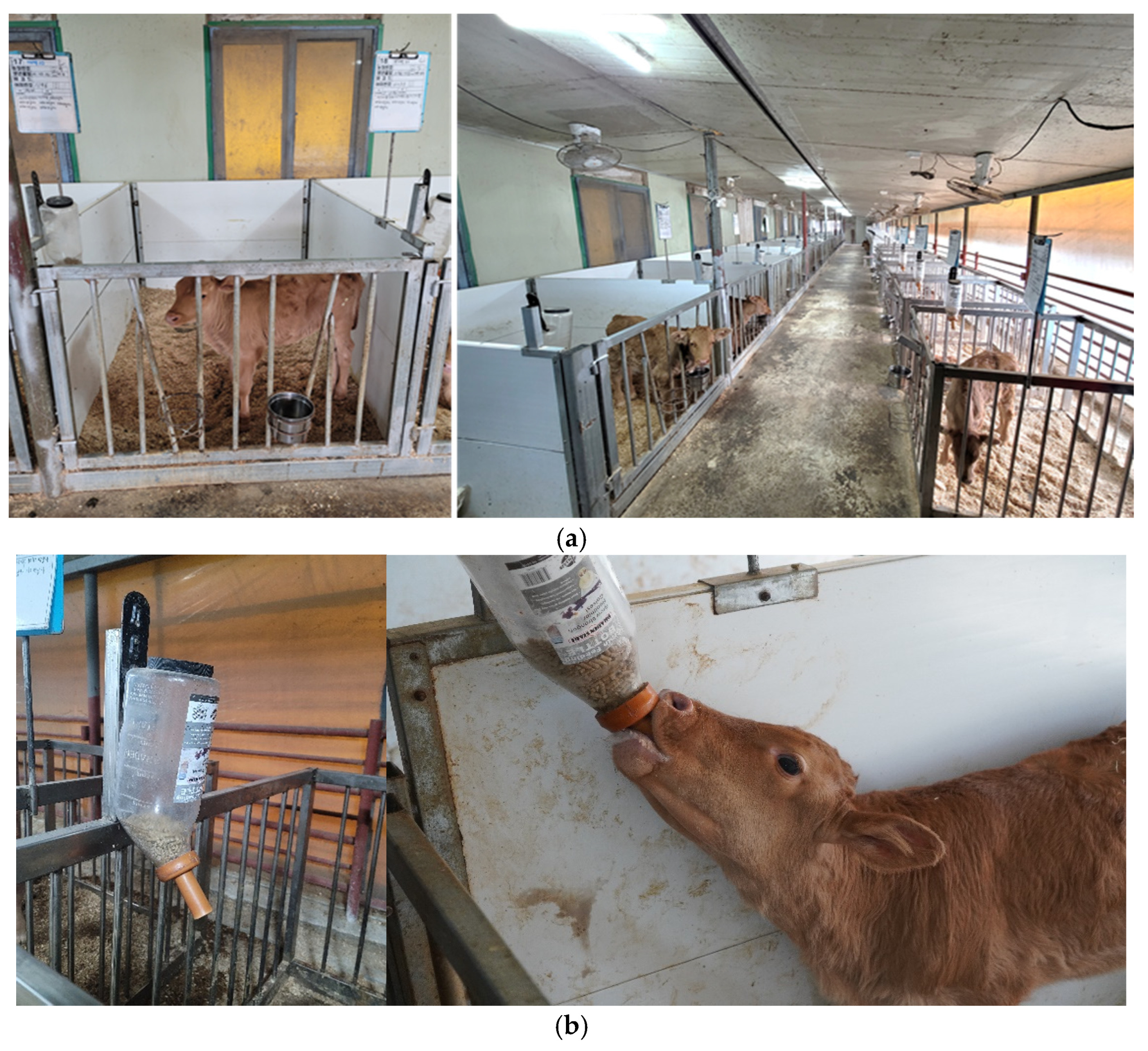 Animals 14 03487 g001