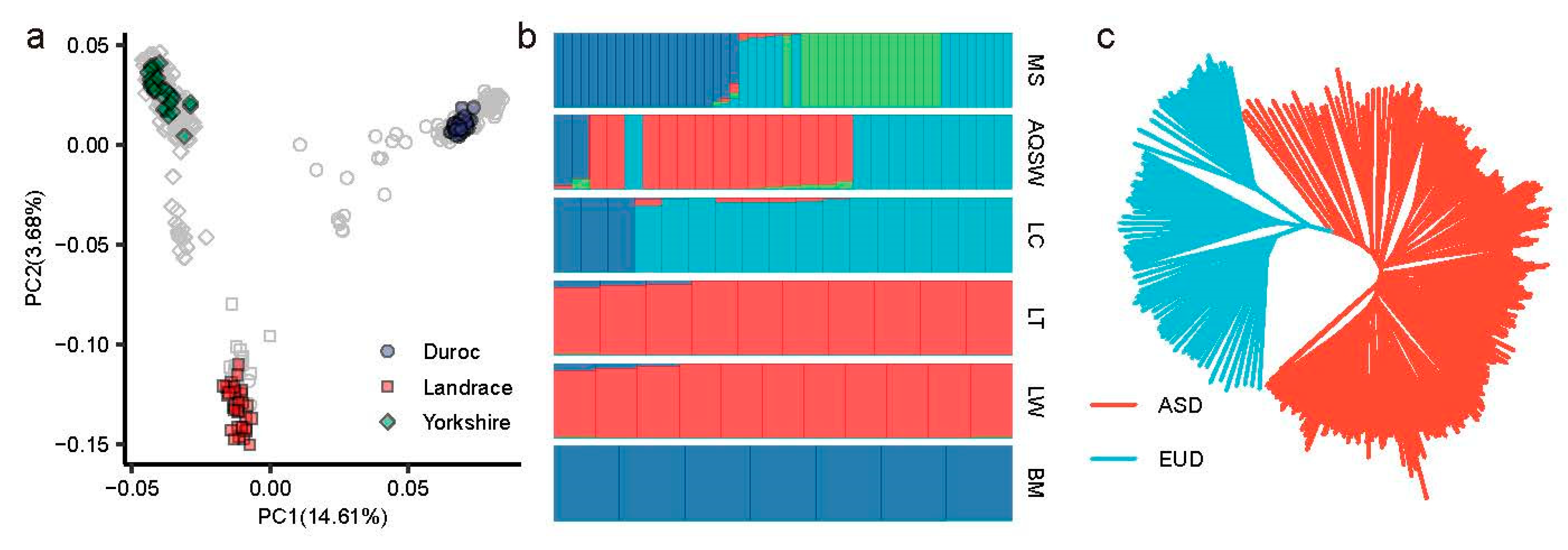 Animals 14 03489 g002