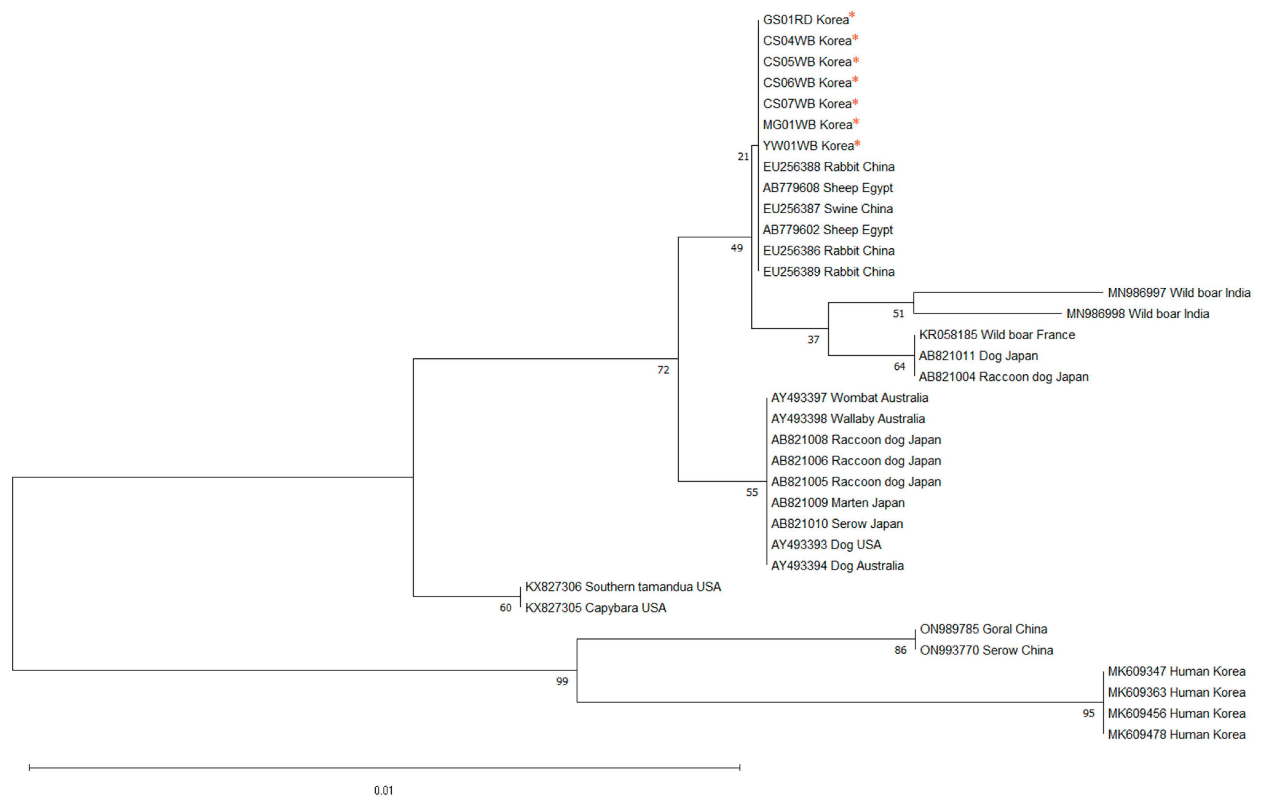 Animals 14 03490 g002