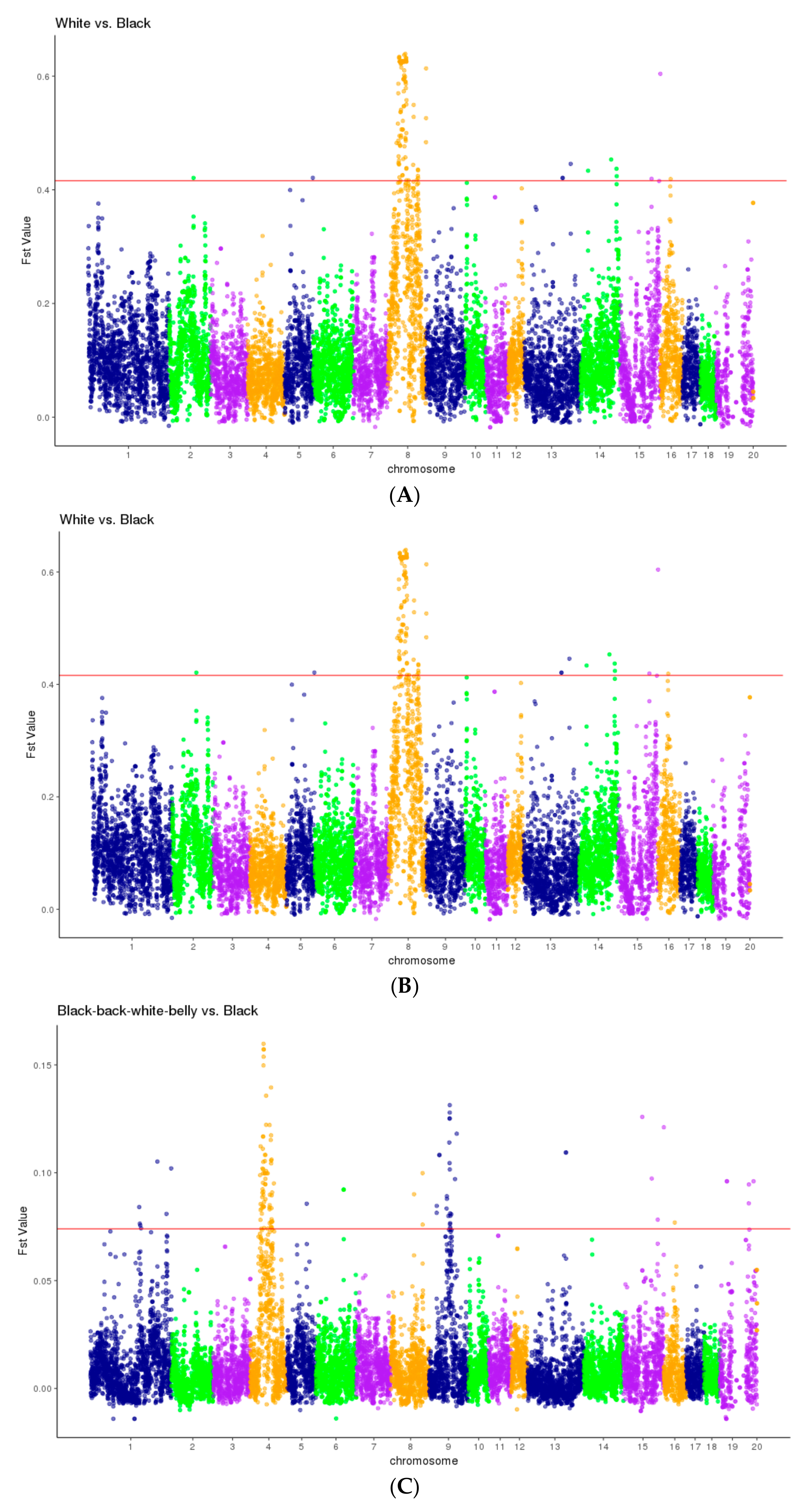 Animals 14 03493 g003
