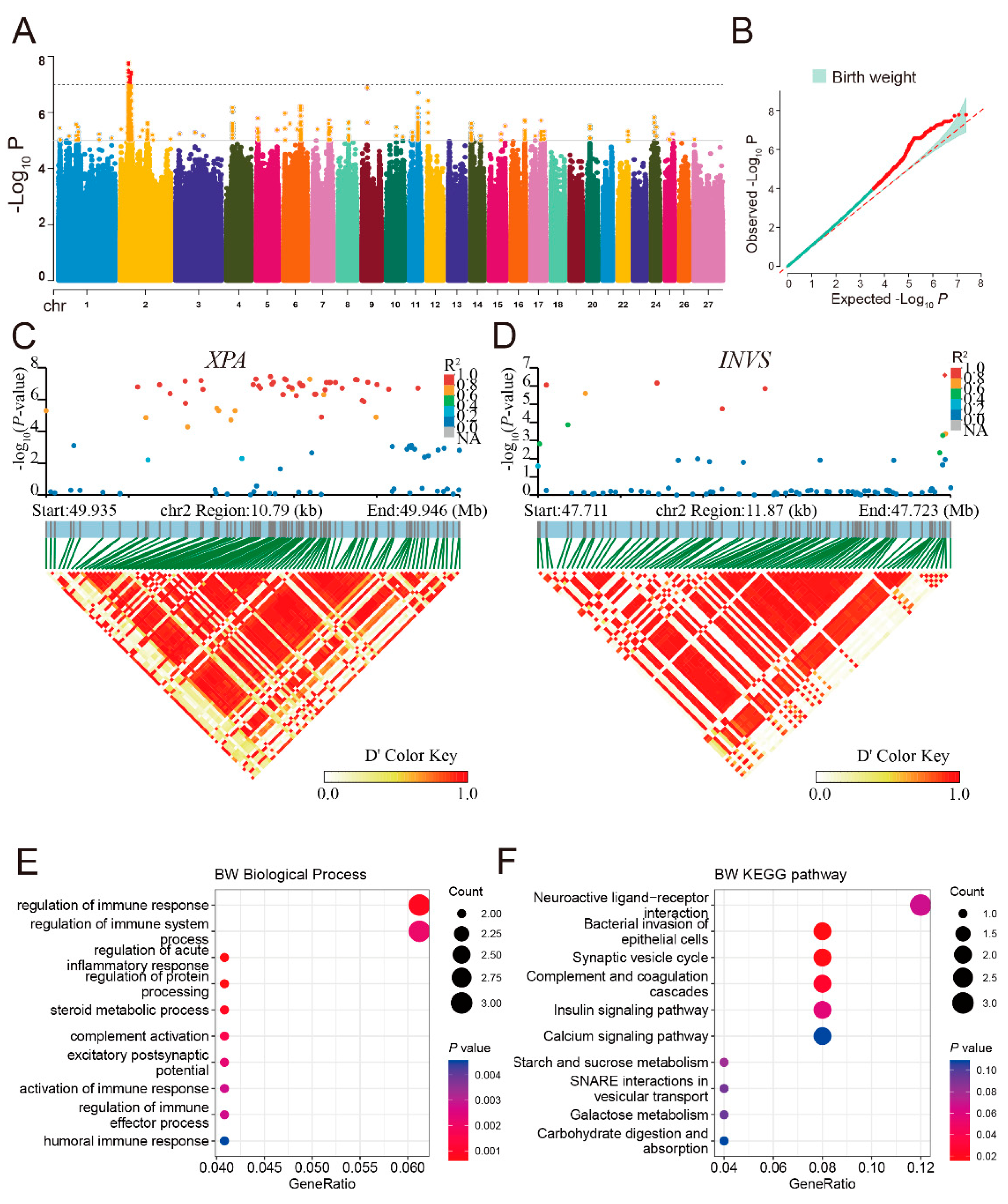 Animals 14 03495 g005