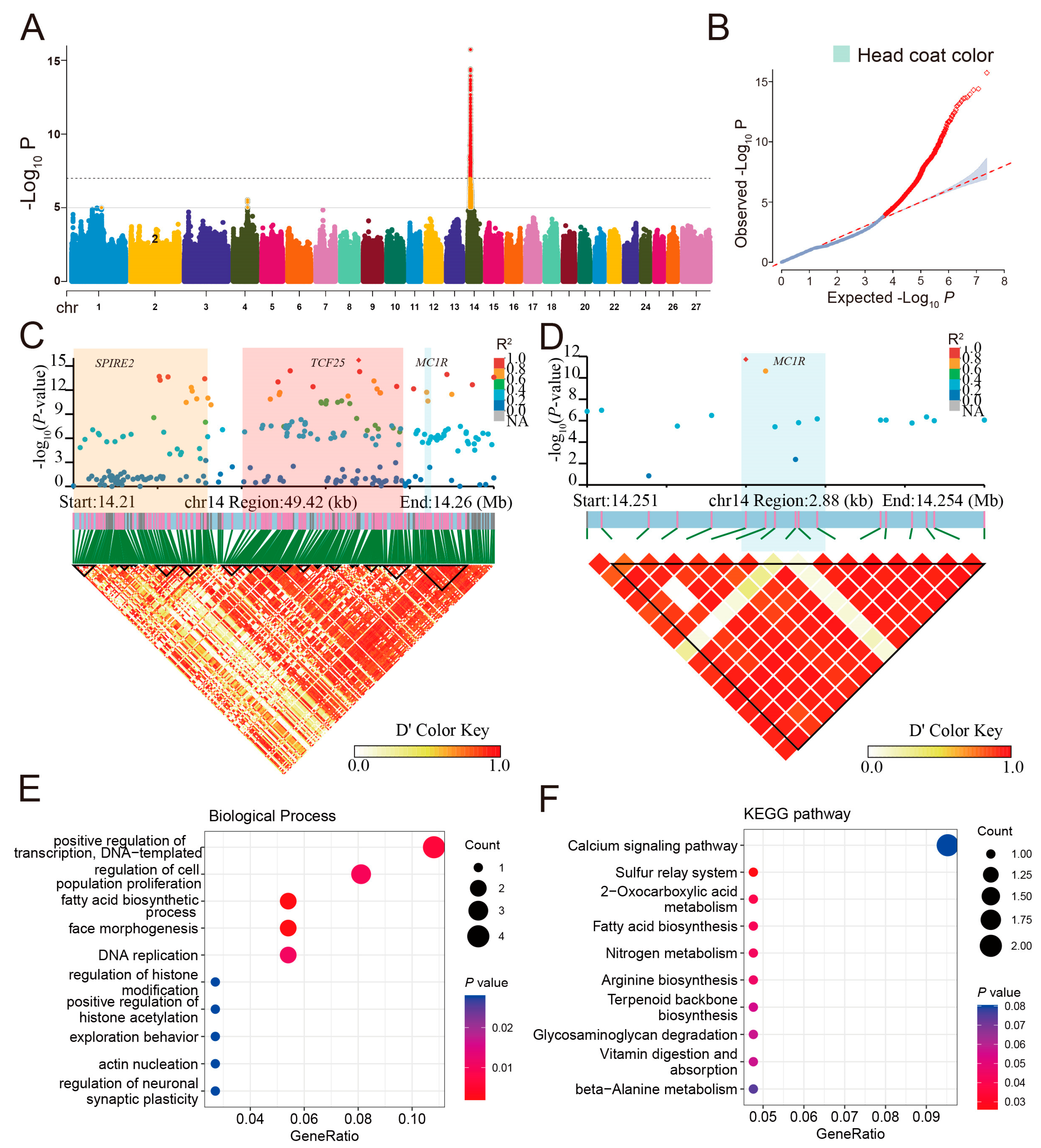 Animals 14 03495 g006