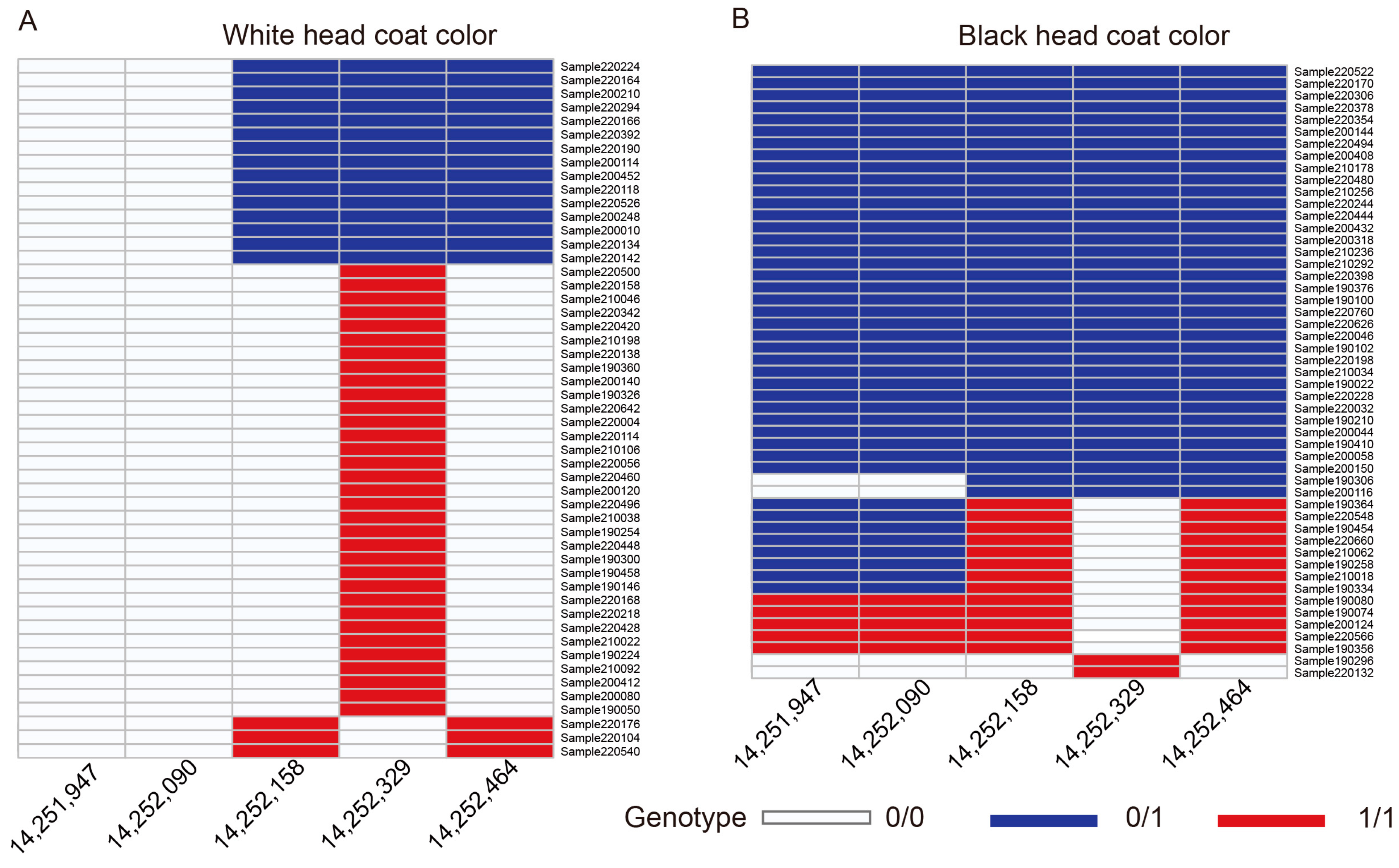 Animals 14 03495 g007
