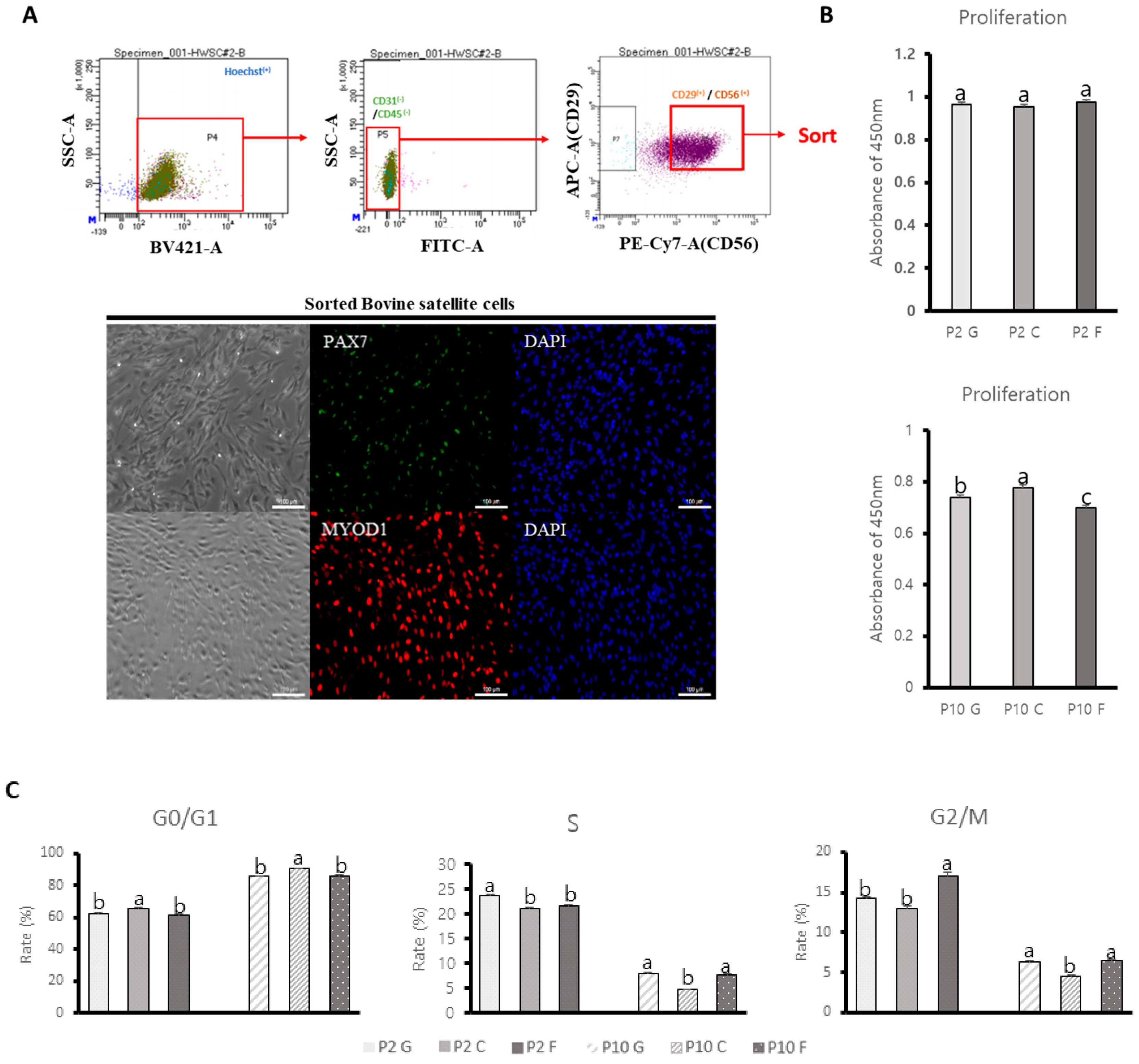 Animals 14 03496 g001
