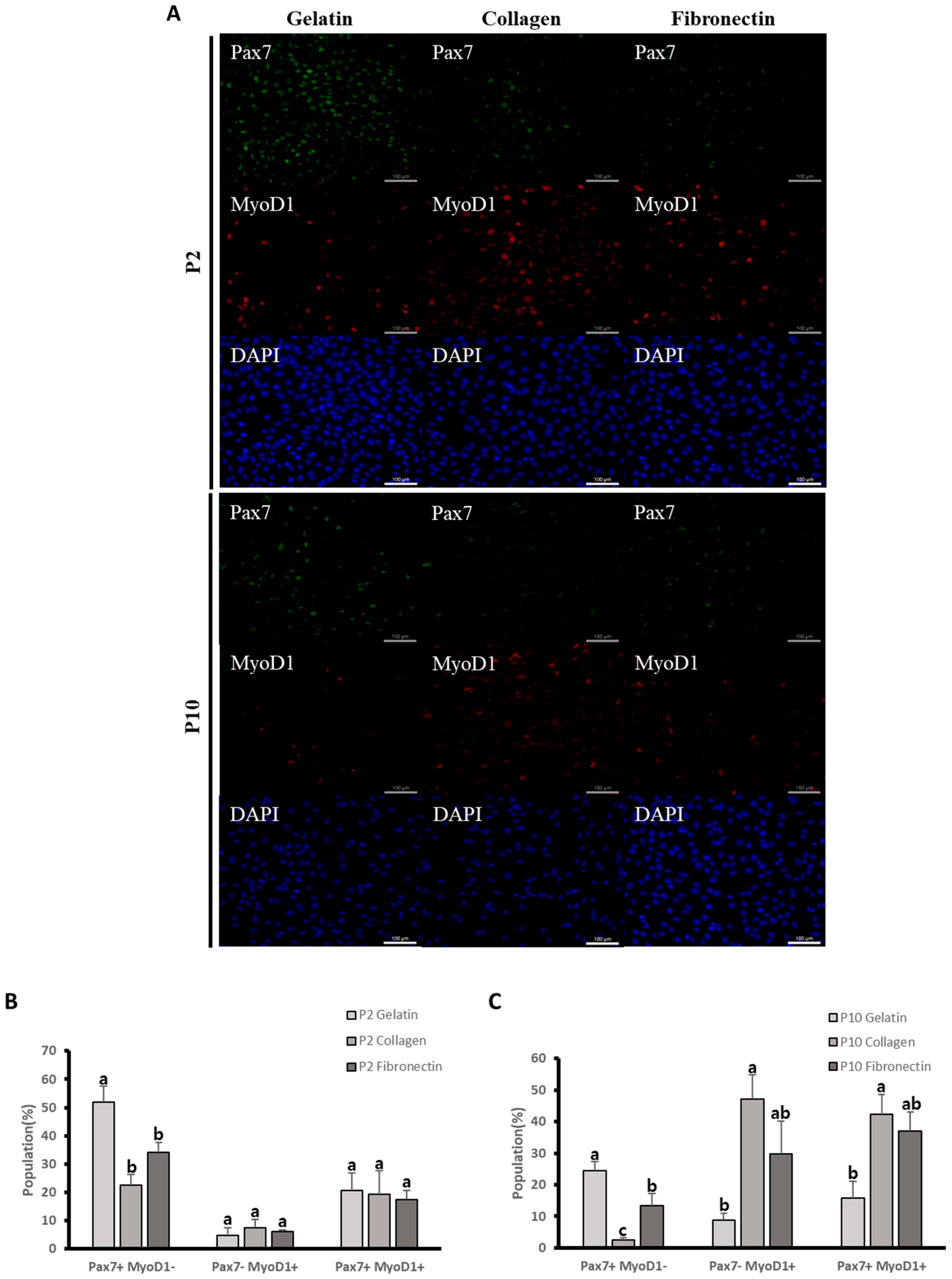 Animals 14 03496 g002