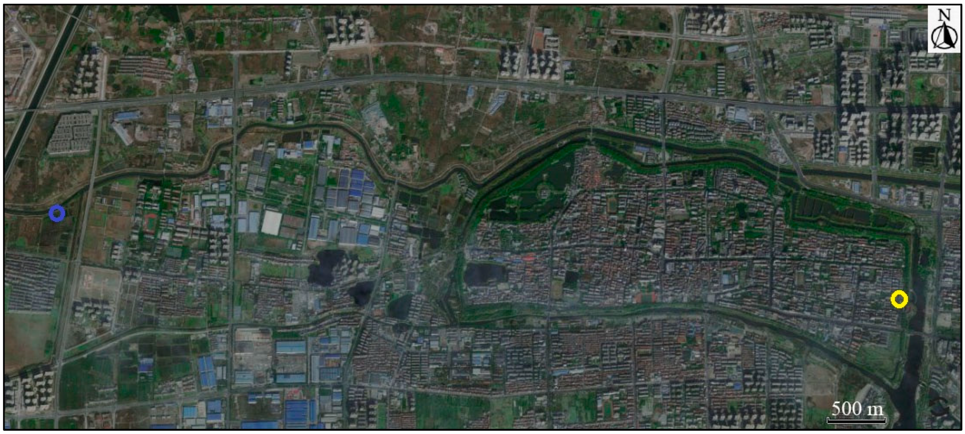 Animals 14 03497 g001