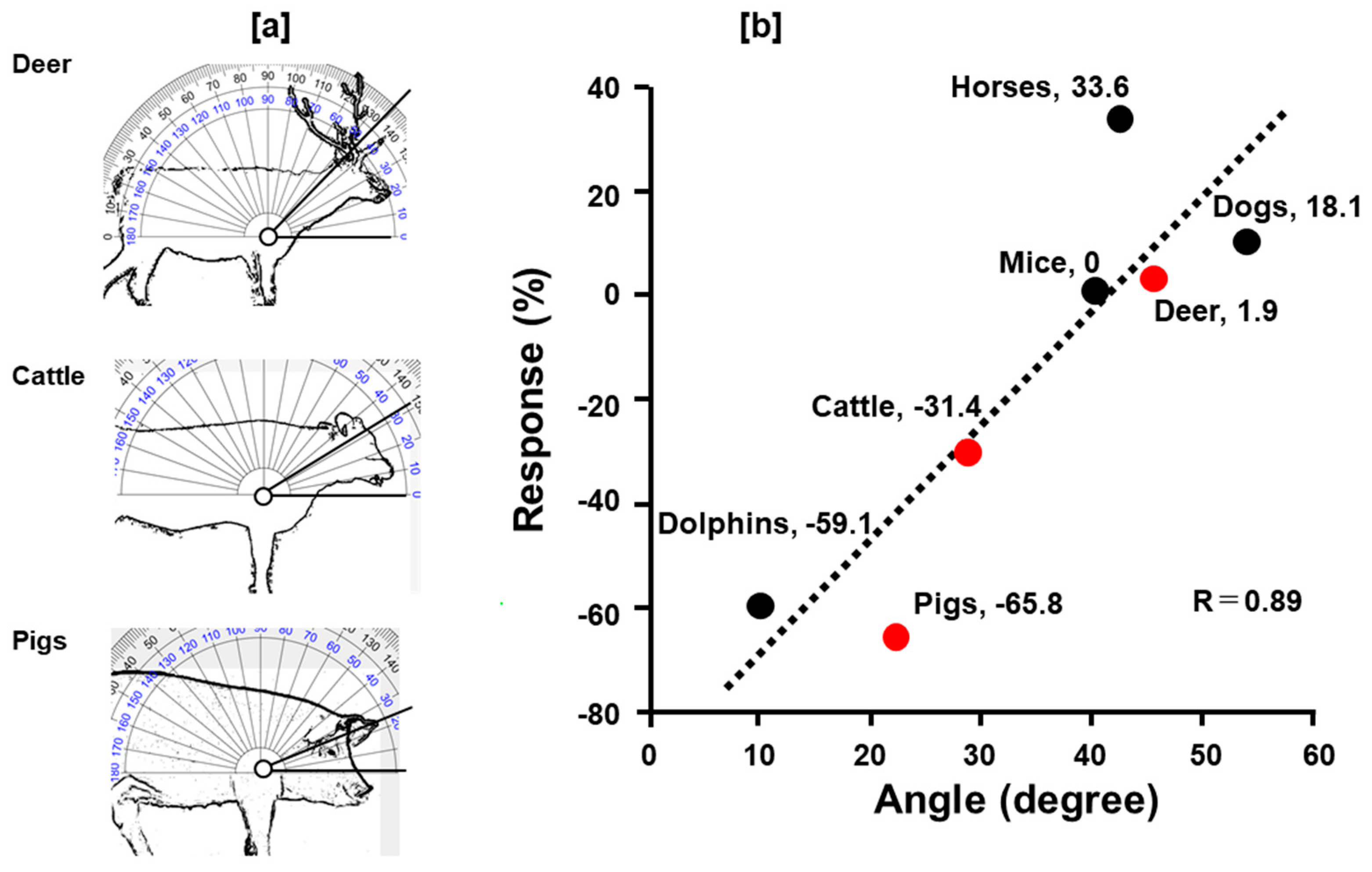 Animals 14 03500 g007 Animals 14 03500 g007
