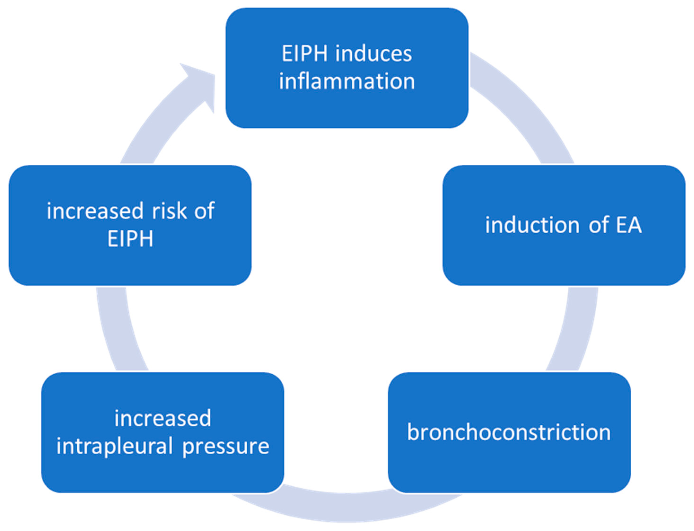 Animals 14 03504 g002