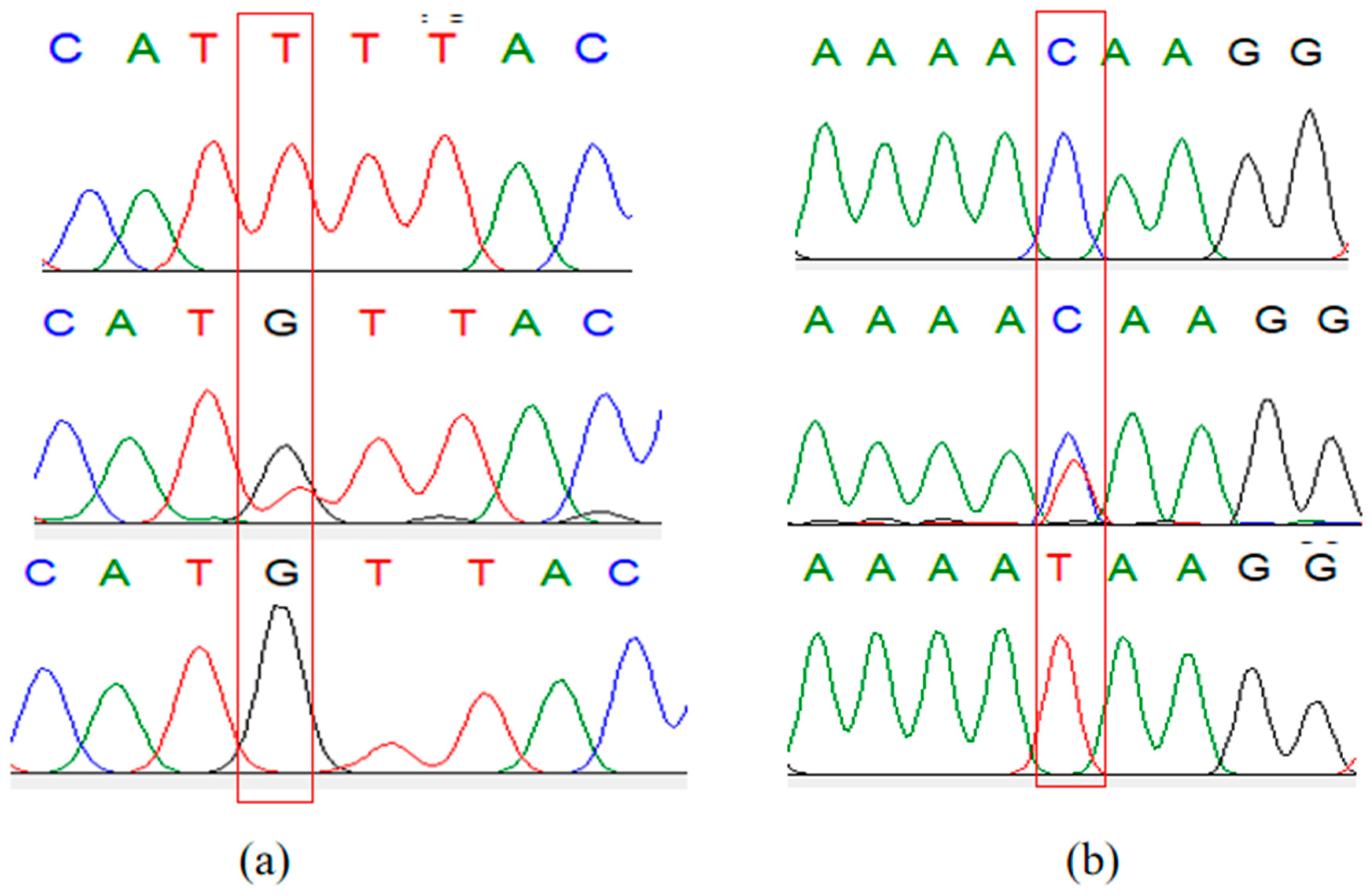 Animals 14 03506 g0a1