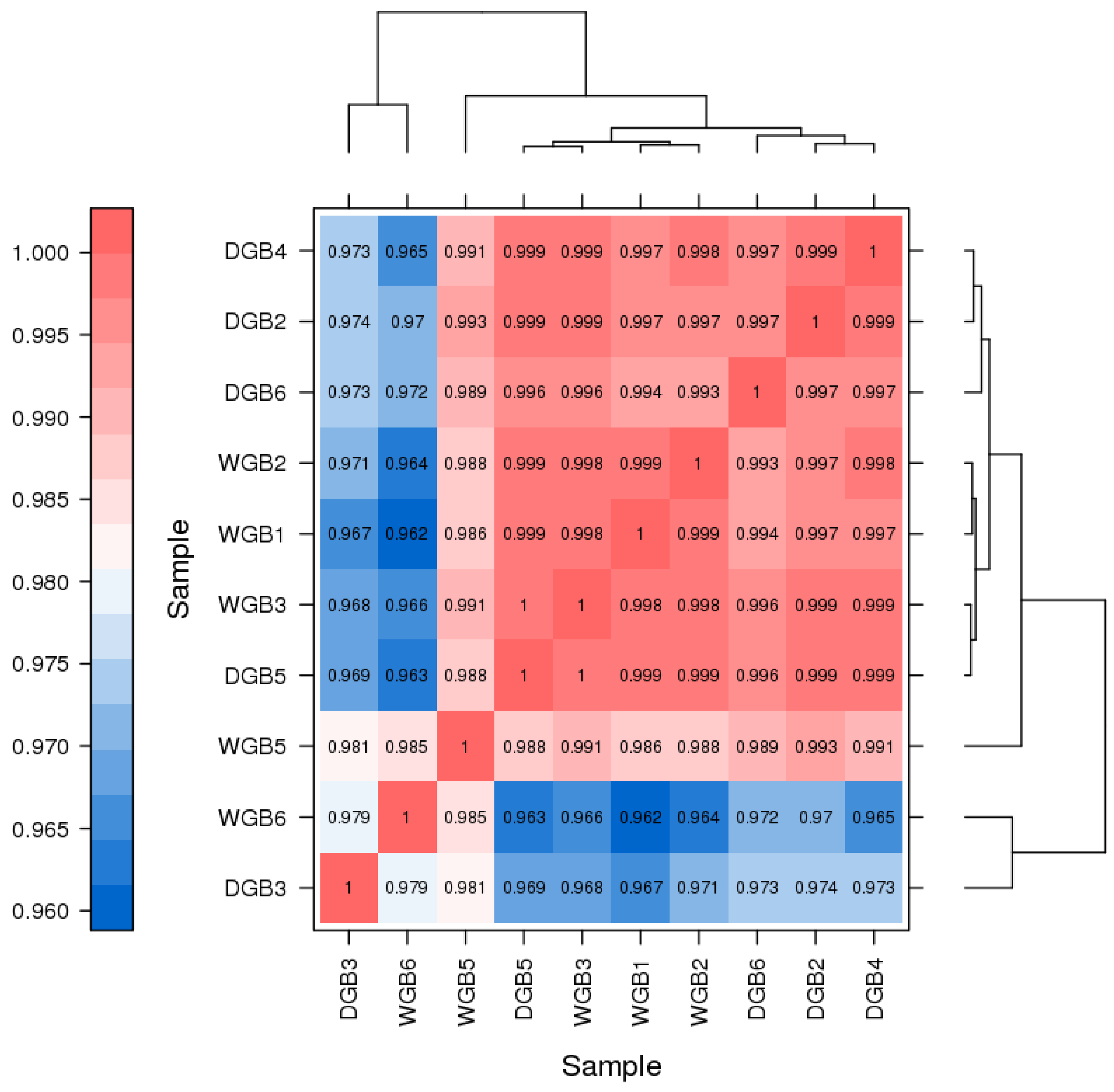 Animals 14 03507 g001