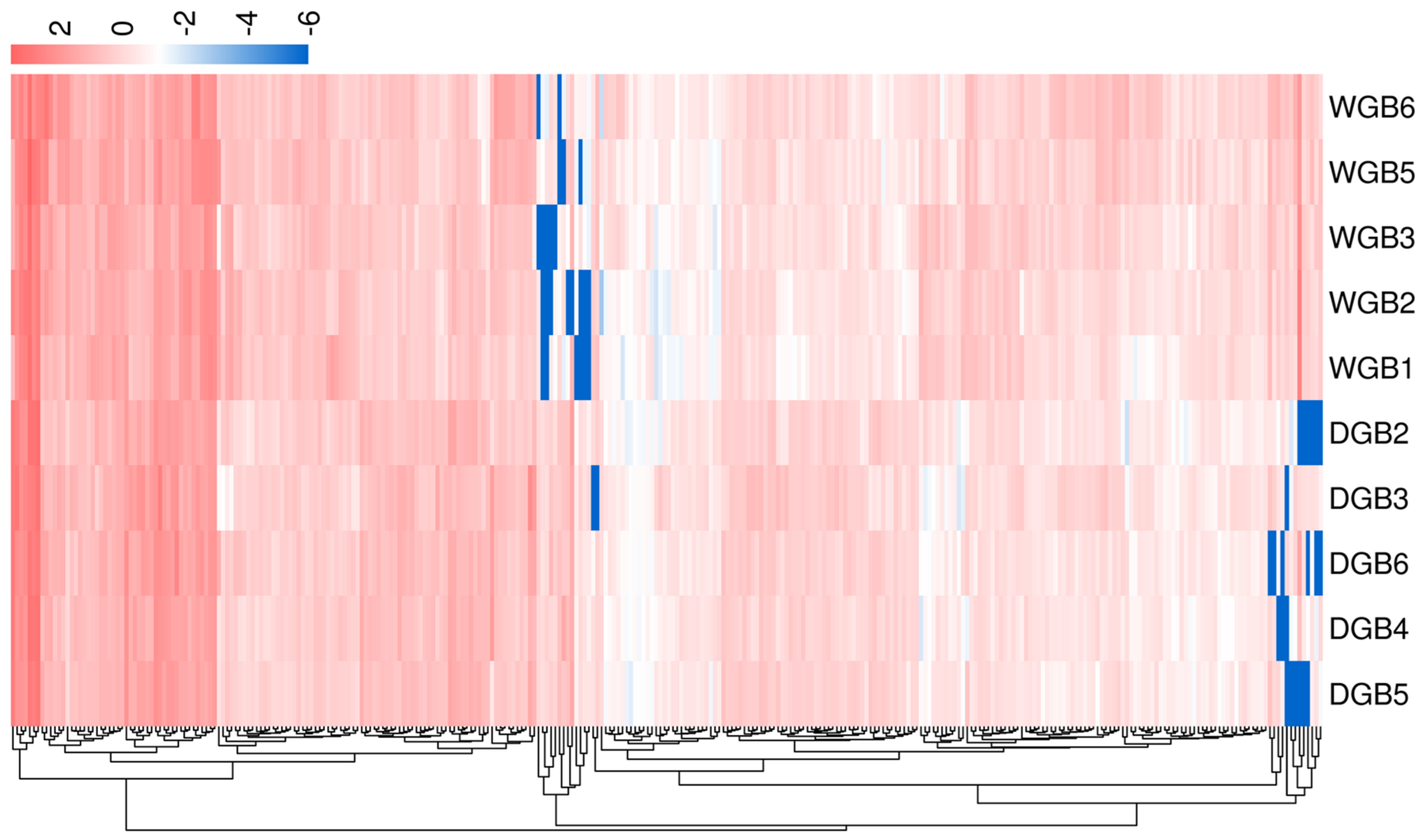 Animals 14 03507 g003