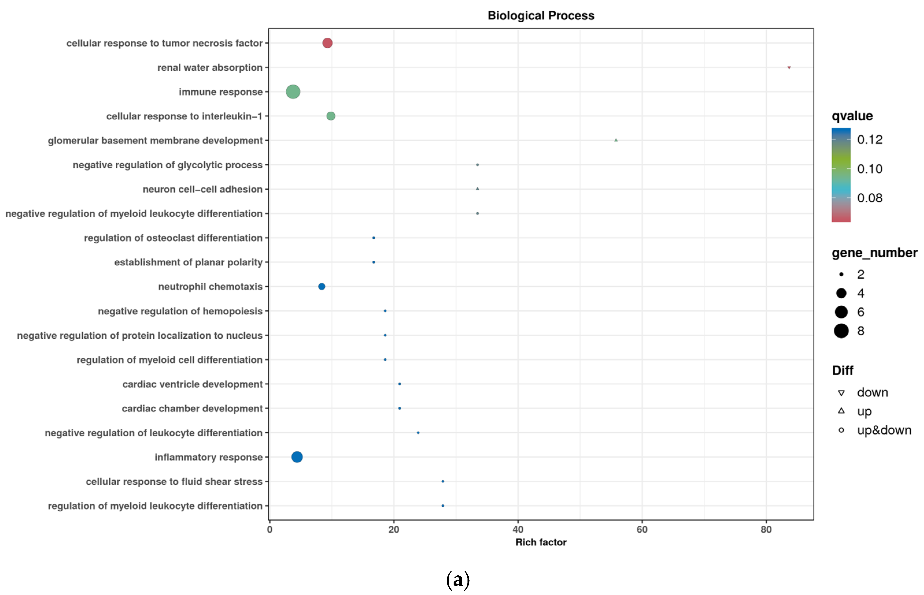 Animals 14 03507 g005a