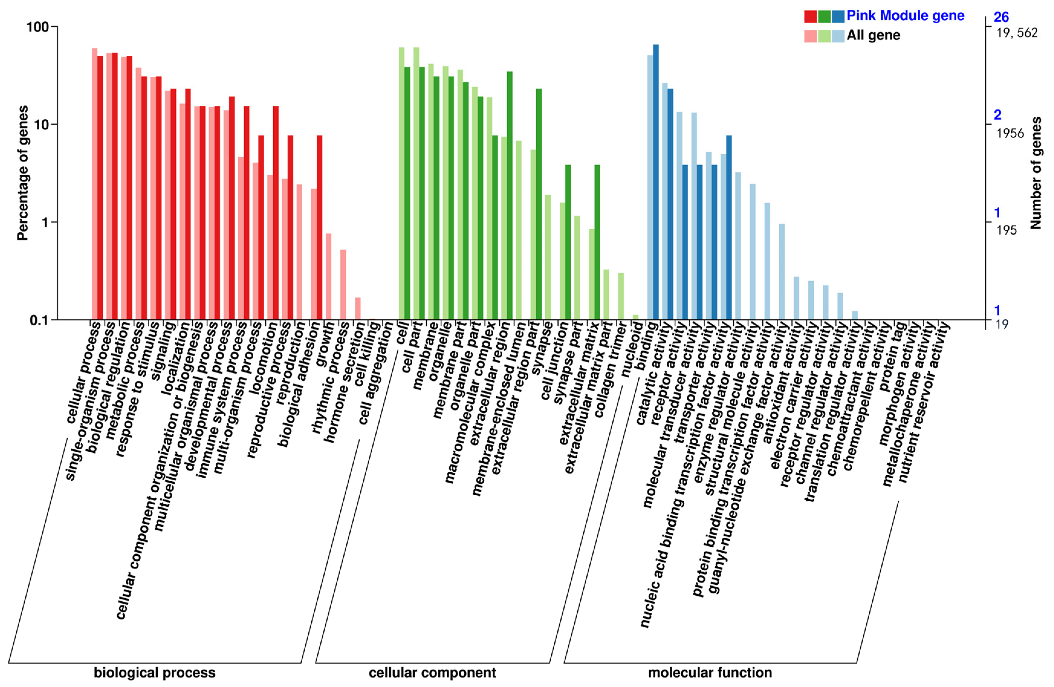 Animals 14 03507 g009