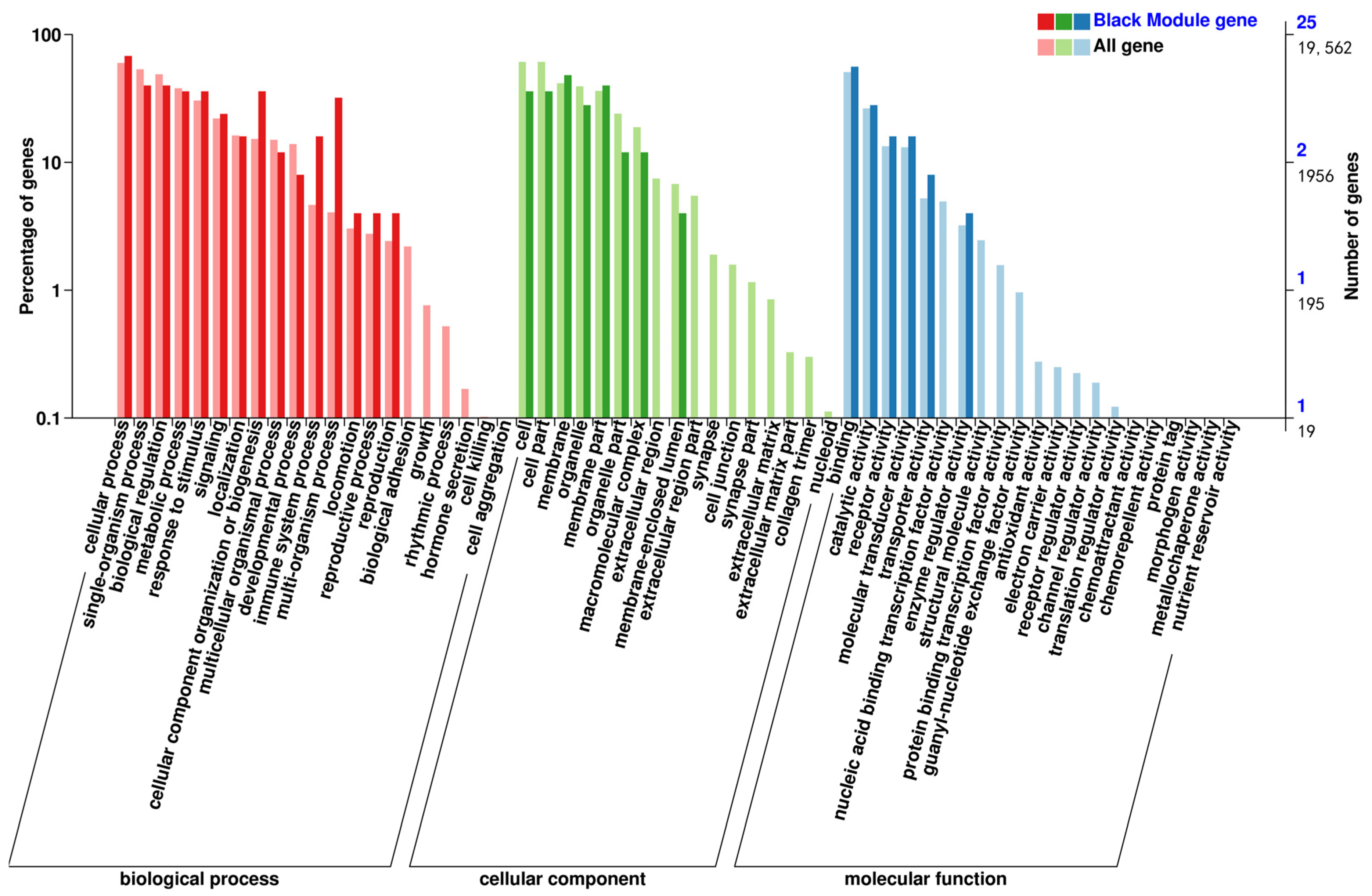 Animals 14 03507 g011