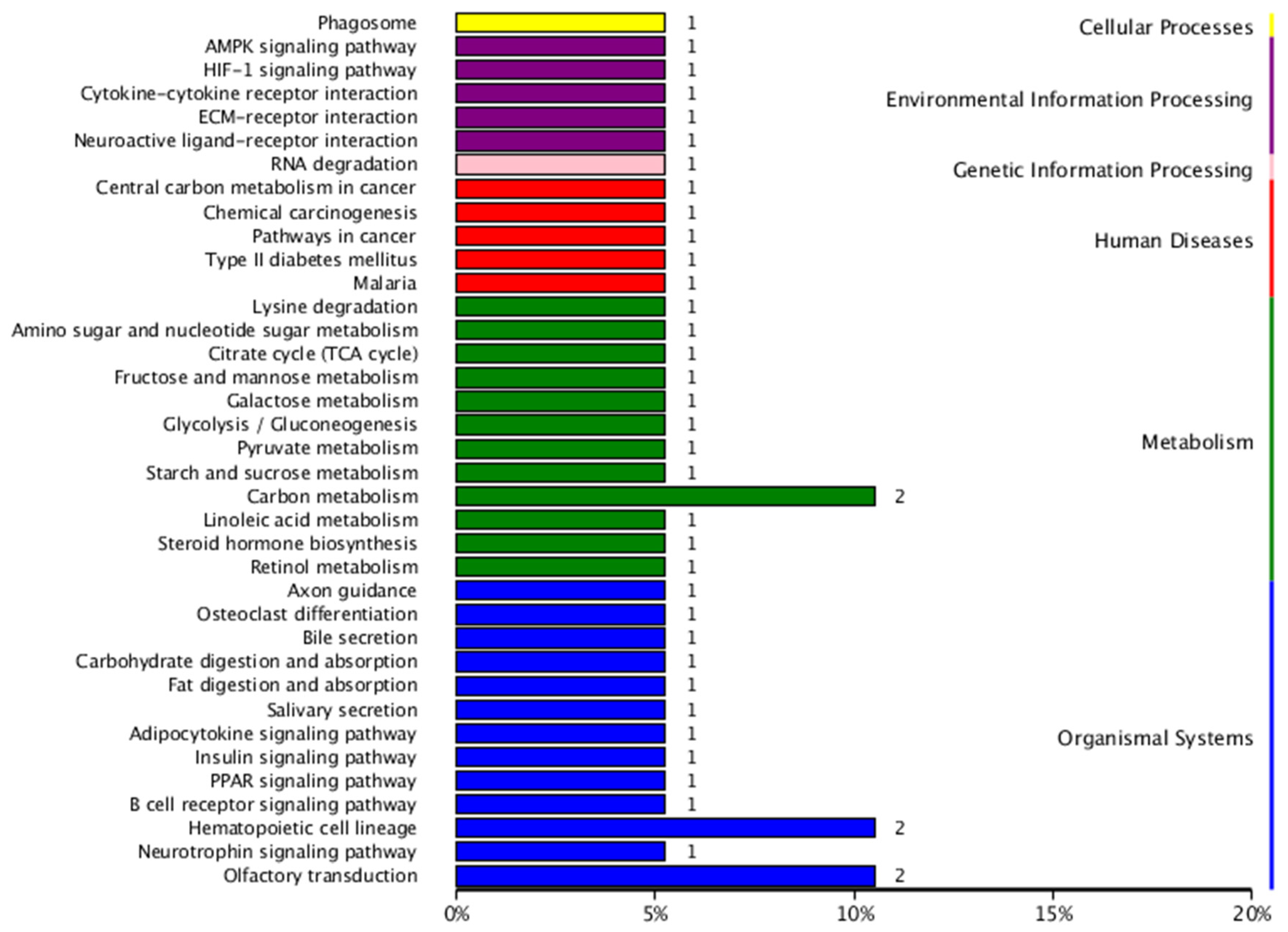 Animals 14 03507 g012