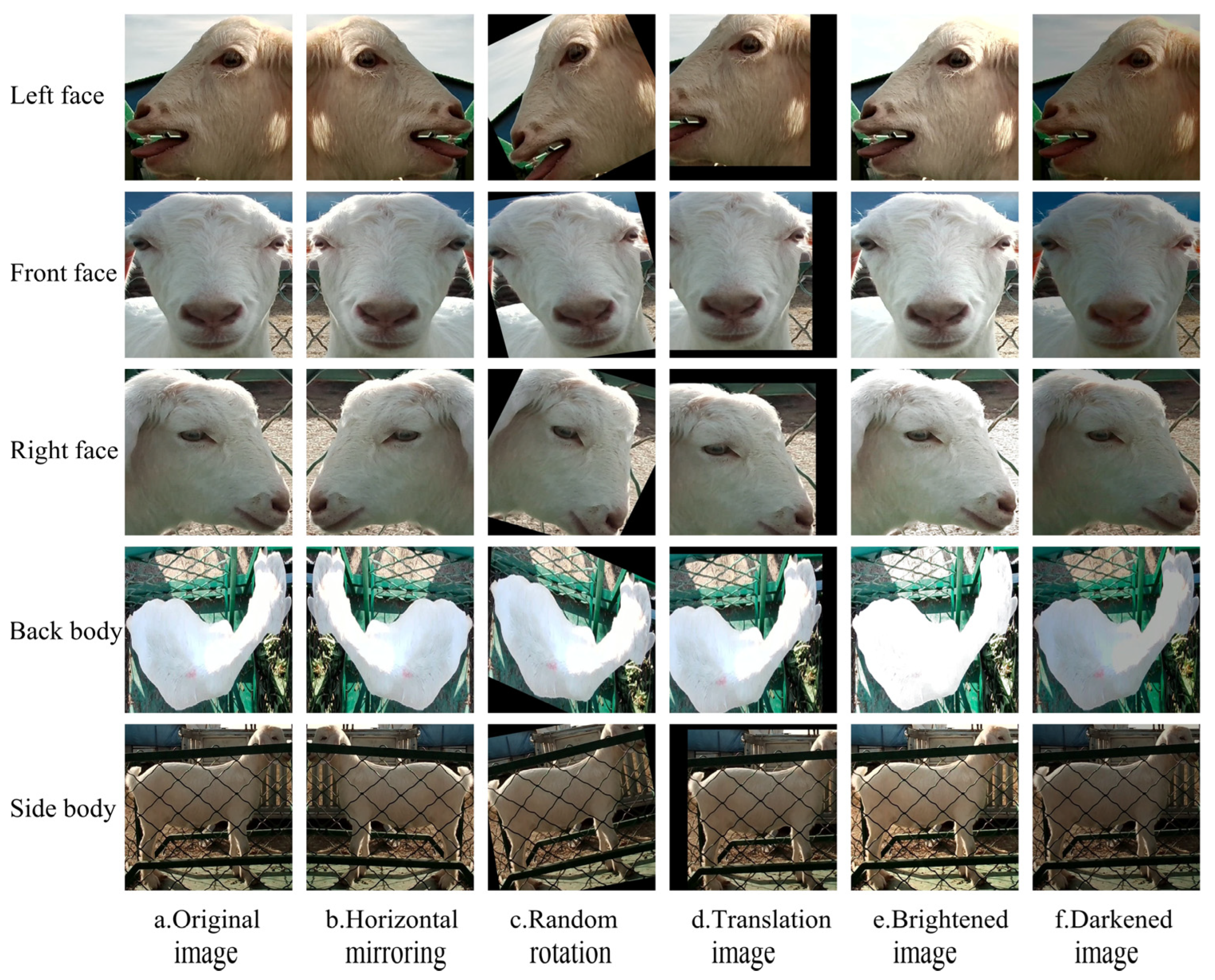 Animals 14 03509 g003