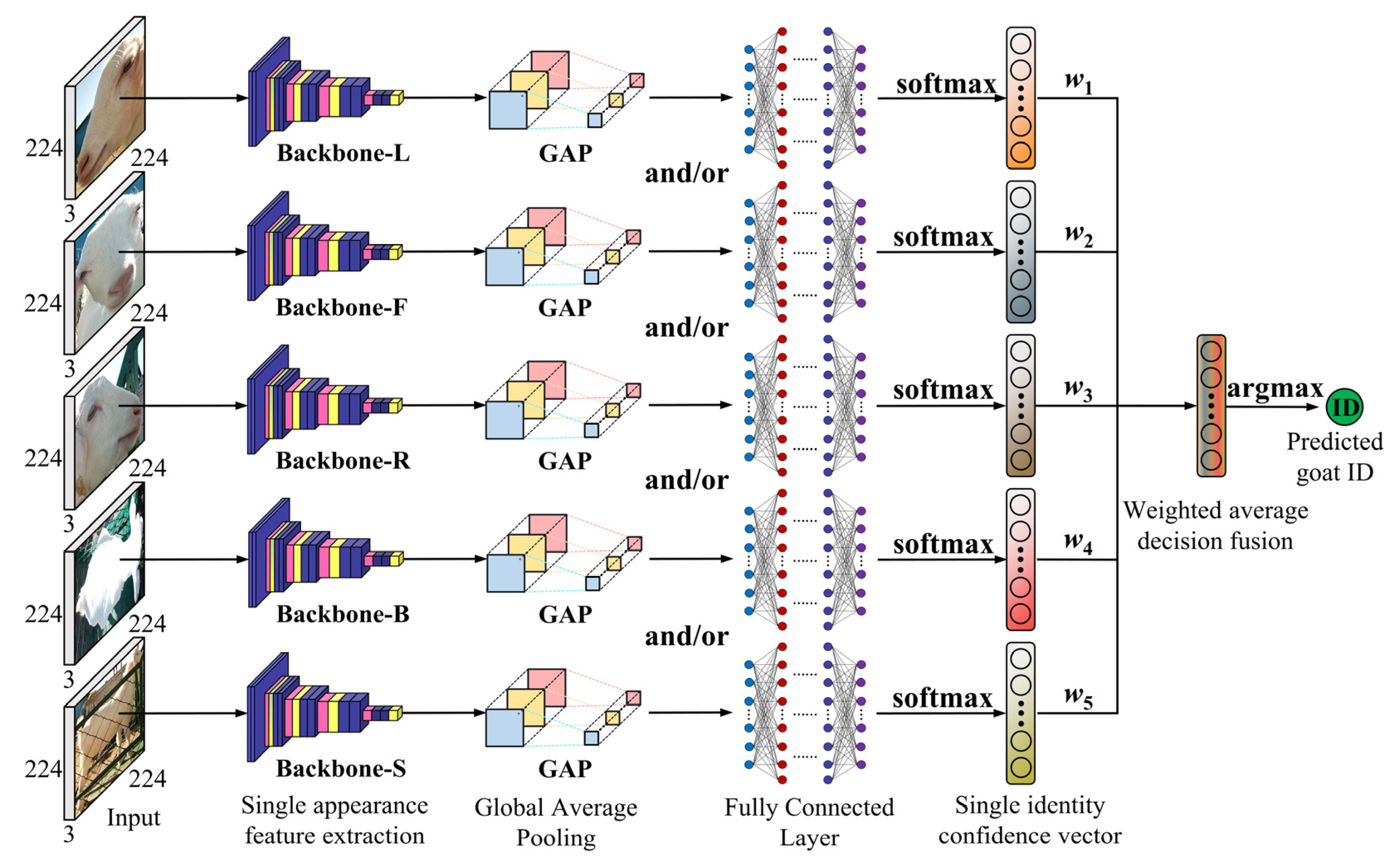 Animals 14 03509 g005