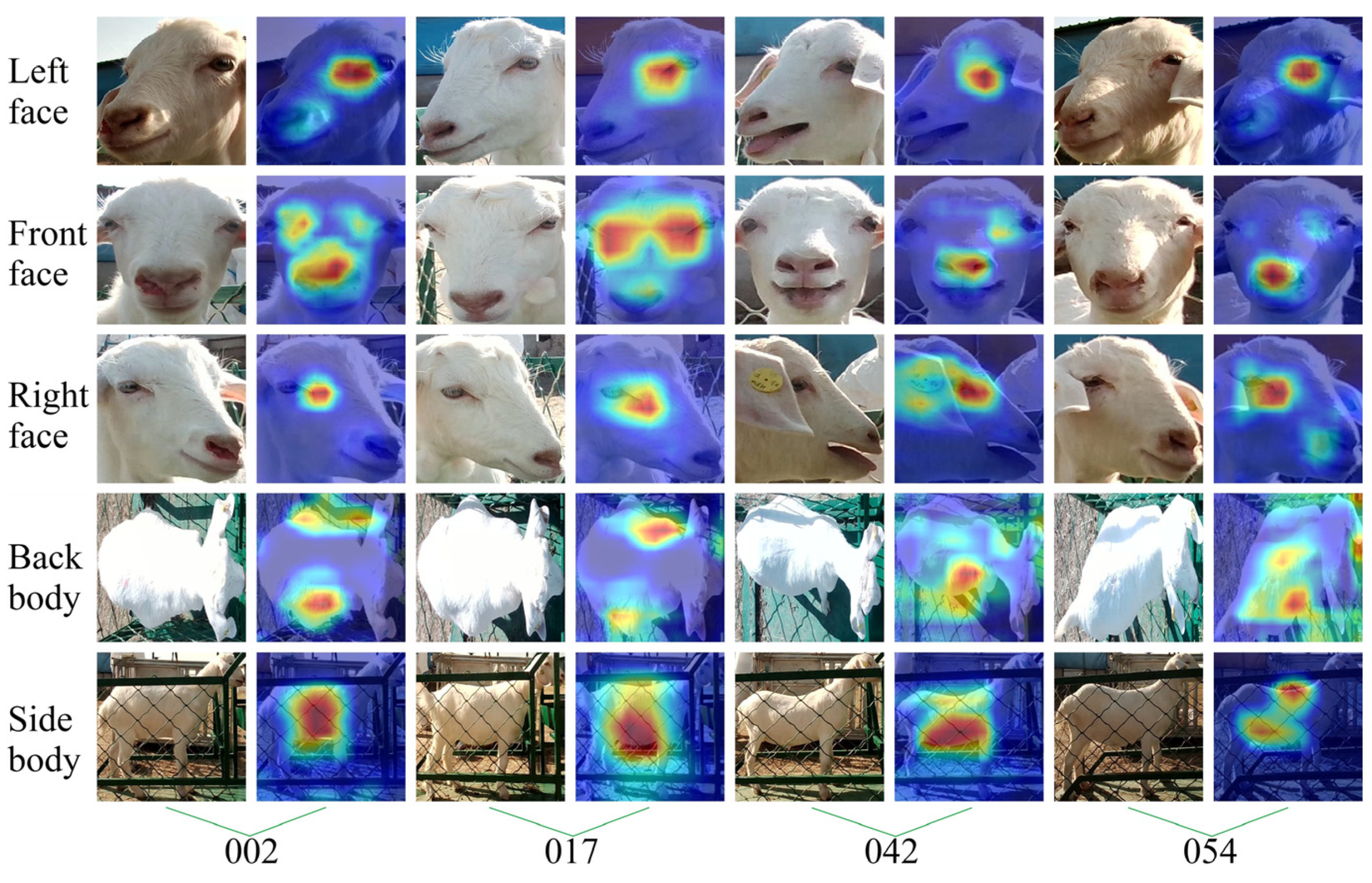 Animals 14 03509 g014