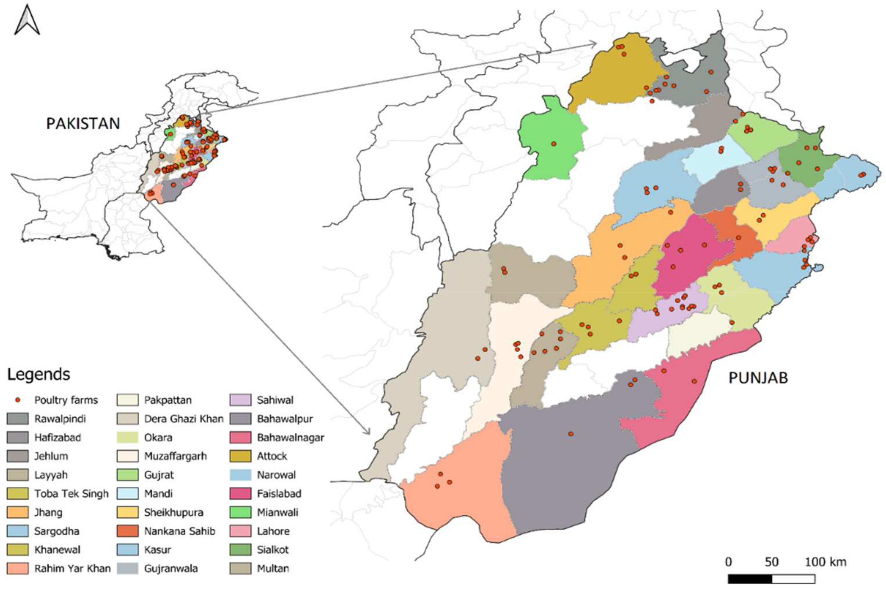 Animals 14 03510 g001