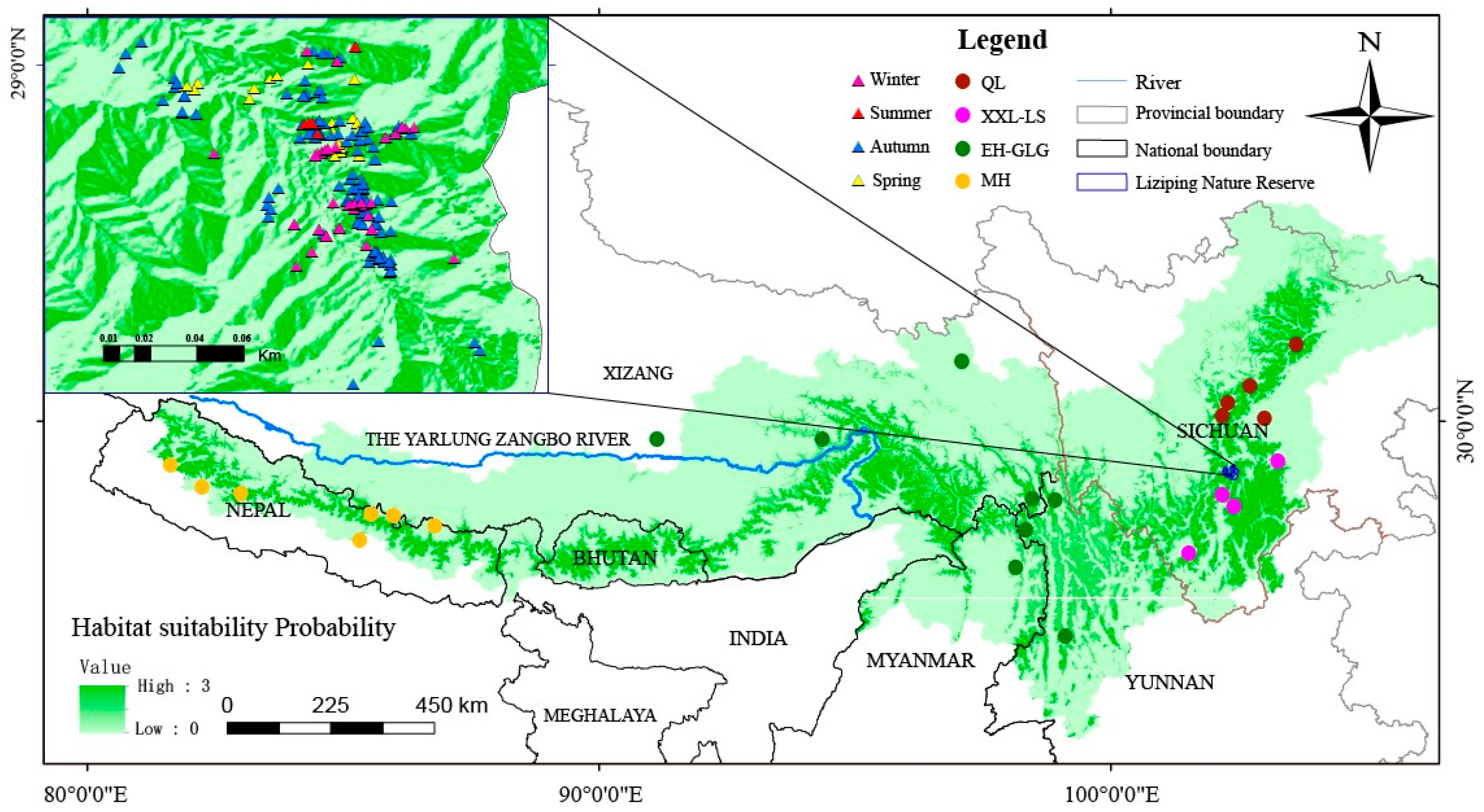 Animals 14 03512 g001