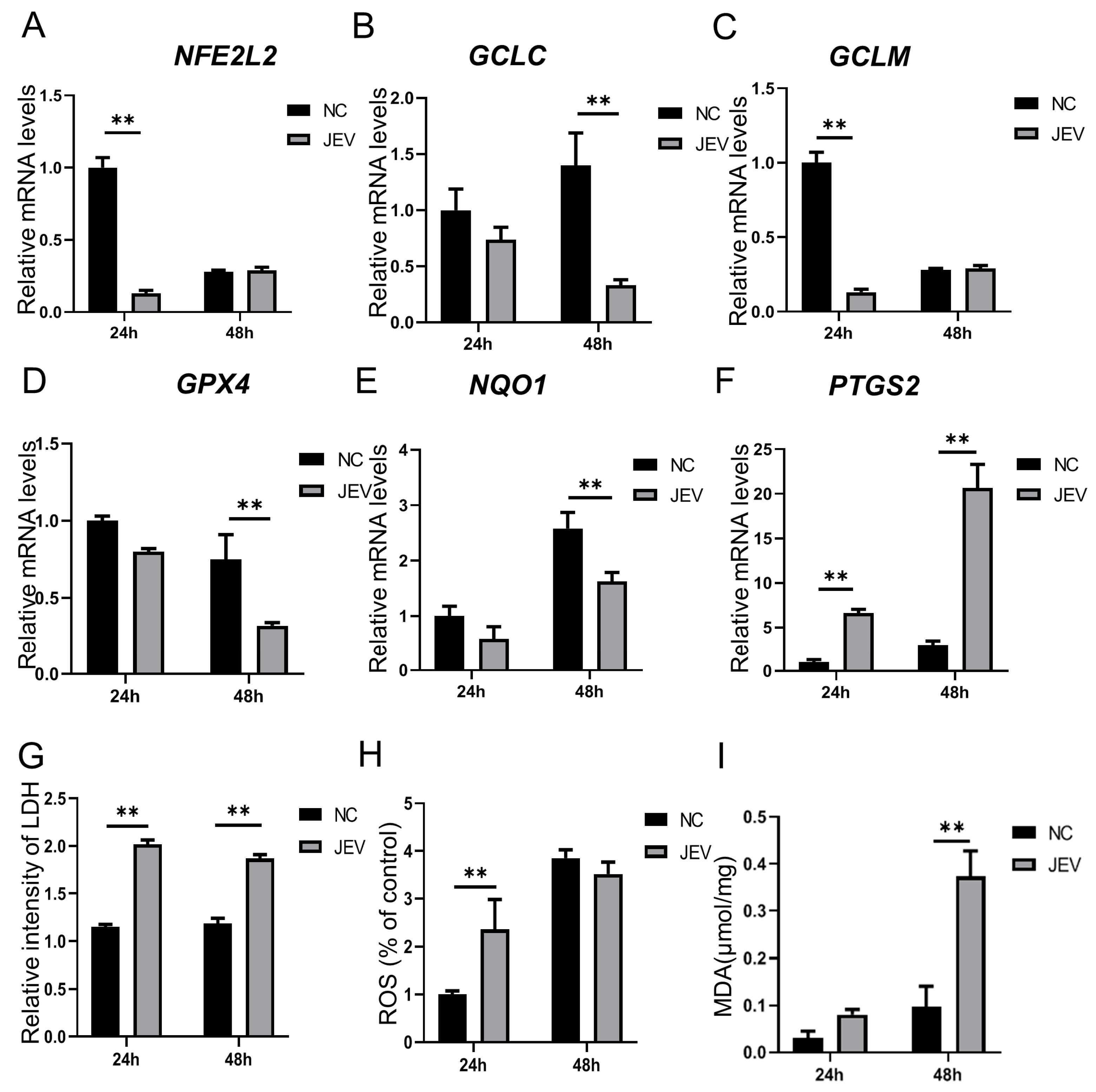 Animals 14 03516 g001