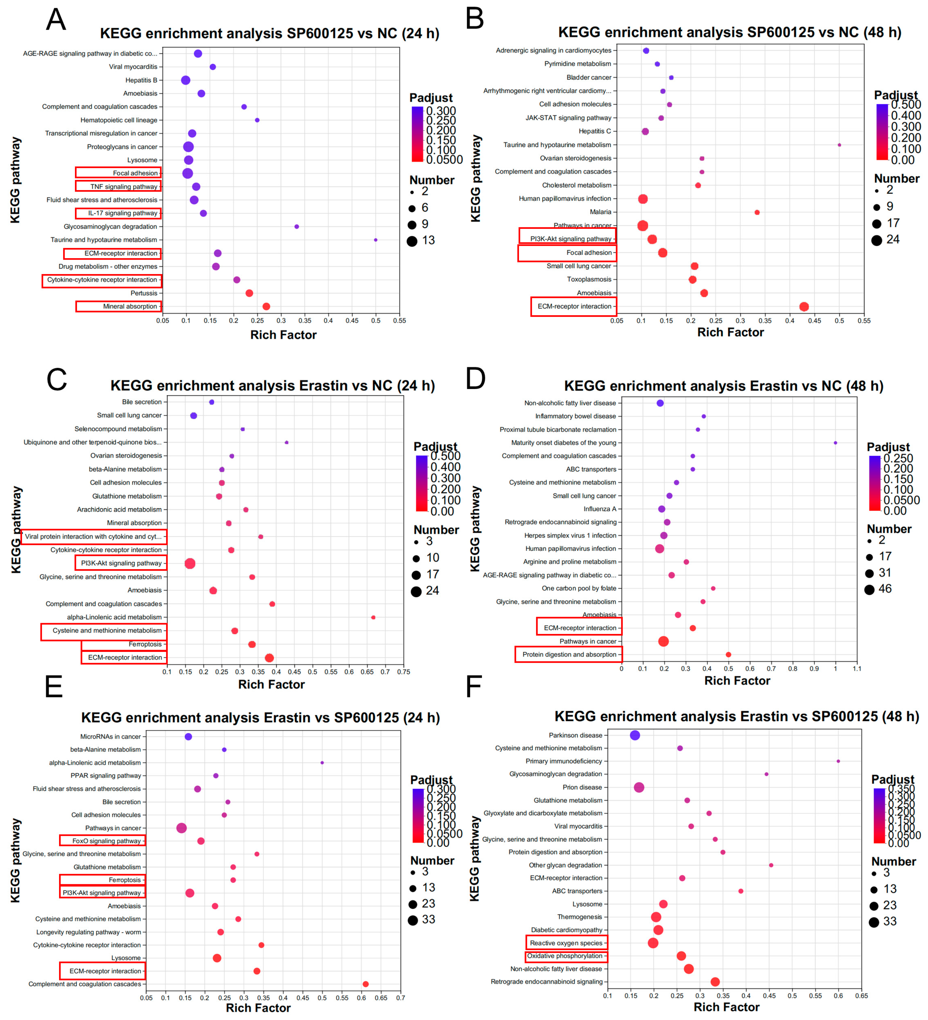 Animals 14 03516 g007