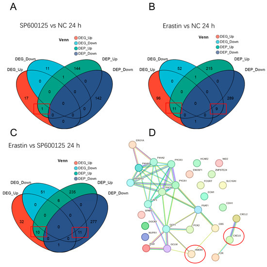 Transcriptome and Proteome Analyses Revealed Differences in