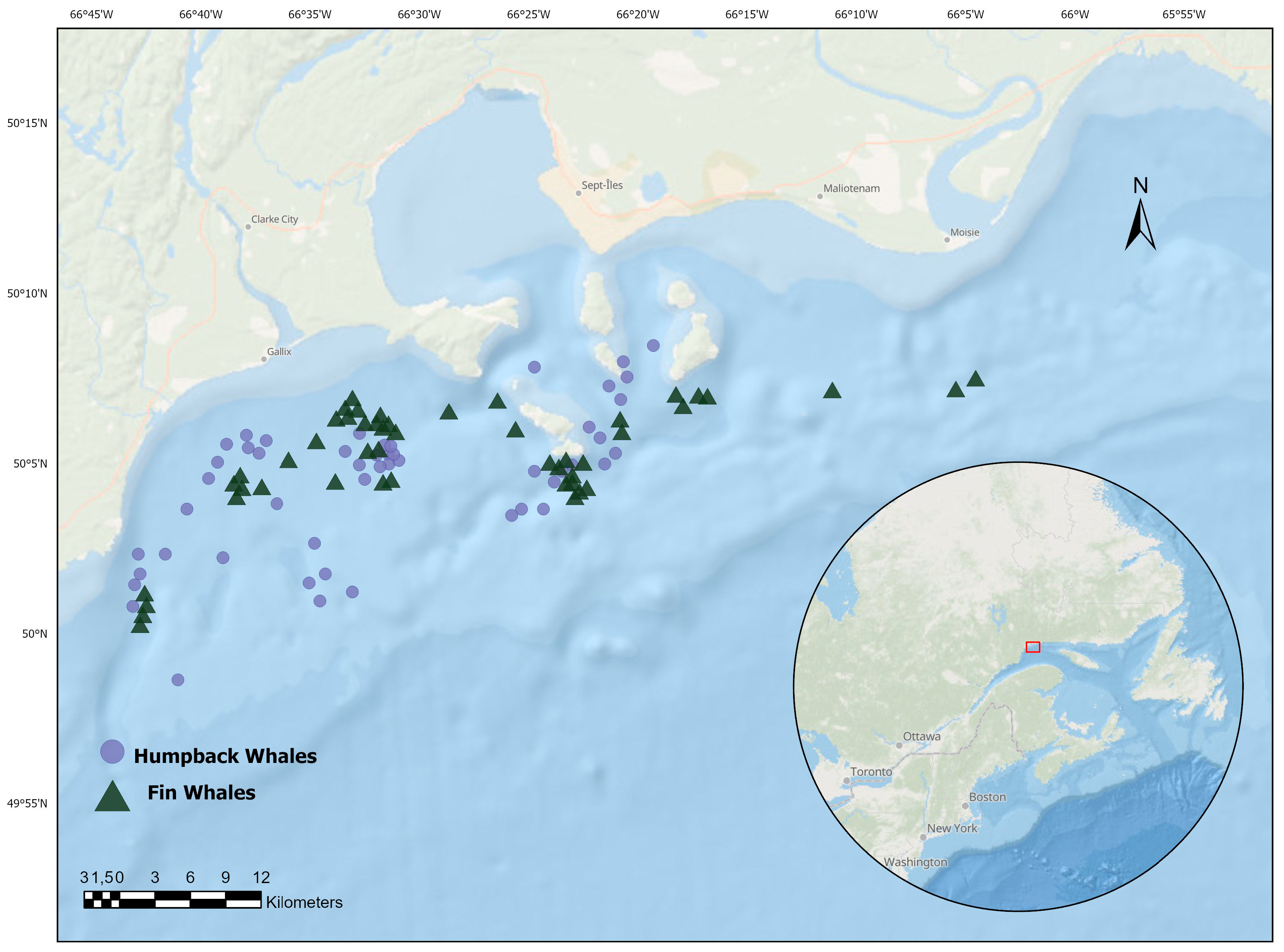 Animals 14 03519 g001