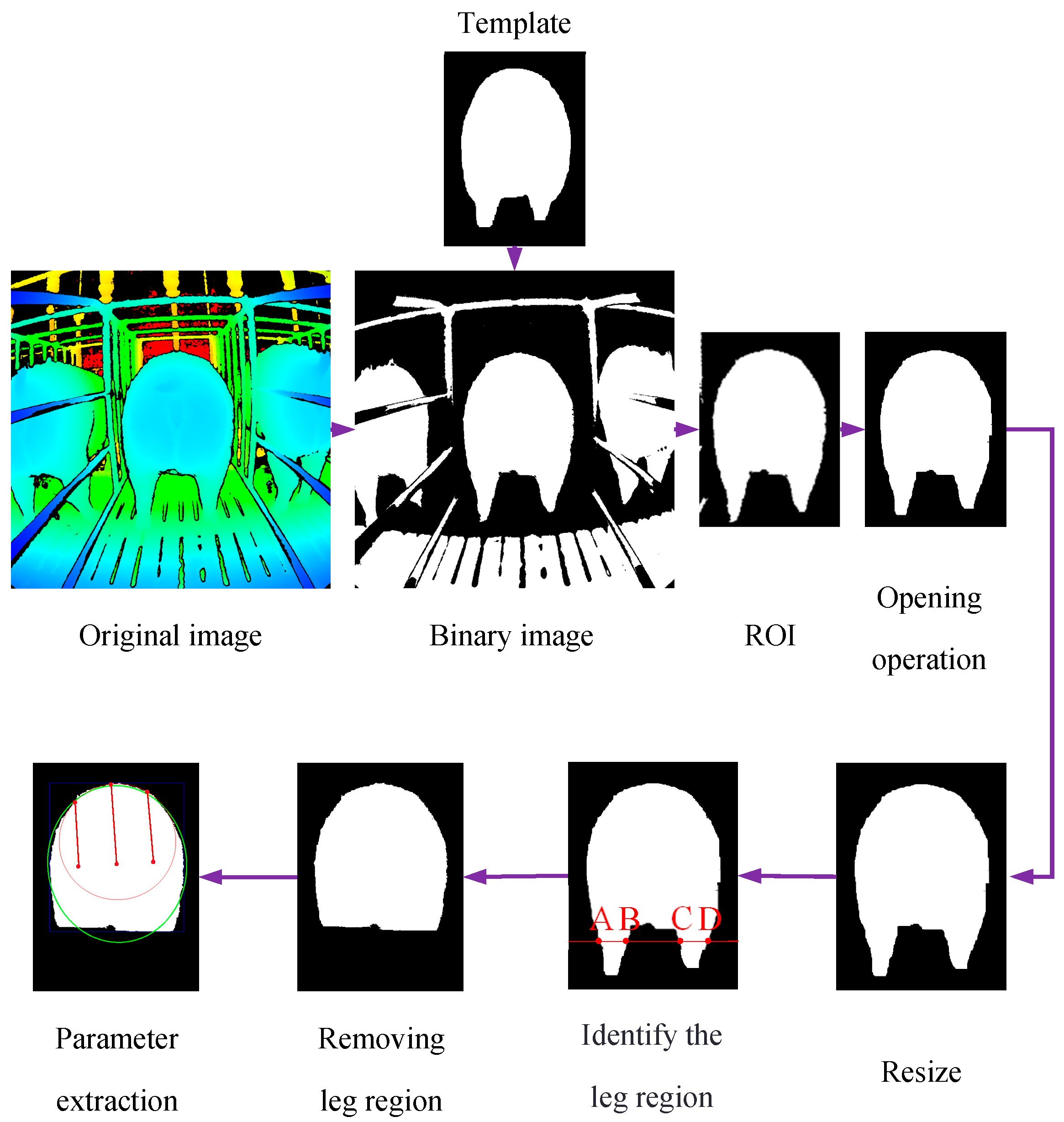 Animals 14 03520 g002 Animals 14 03520 g002