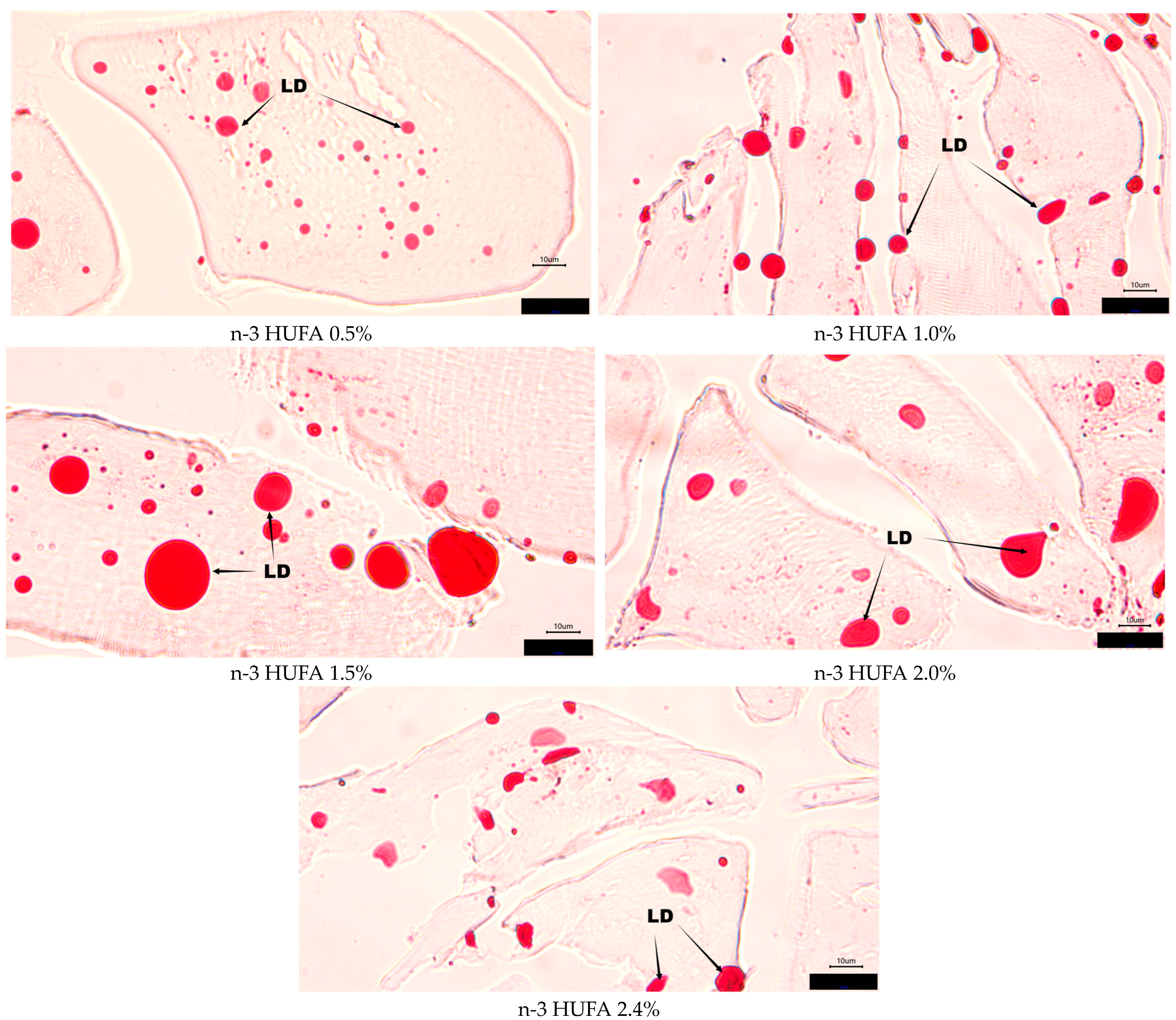 Animals 14 03523 g002