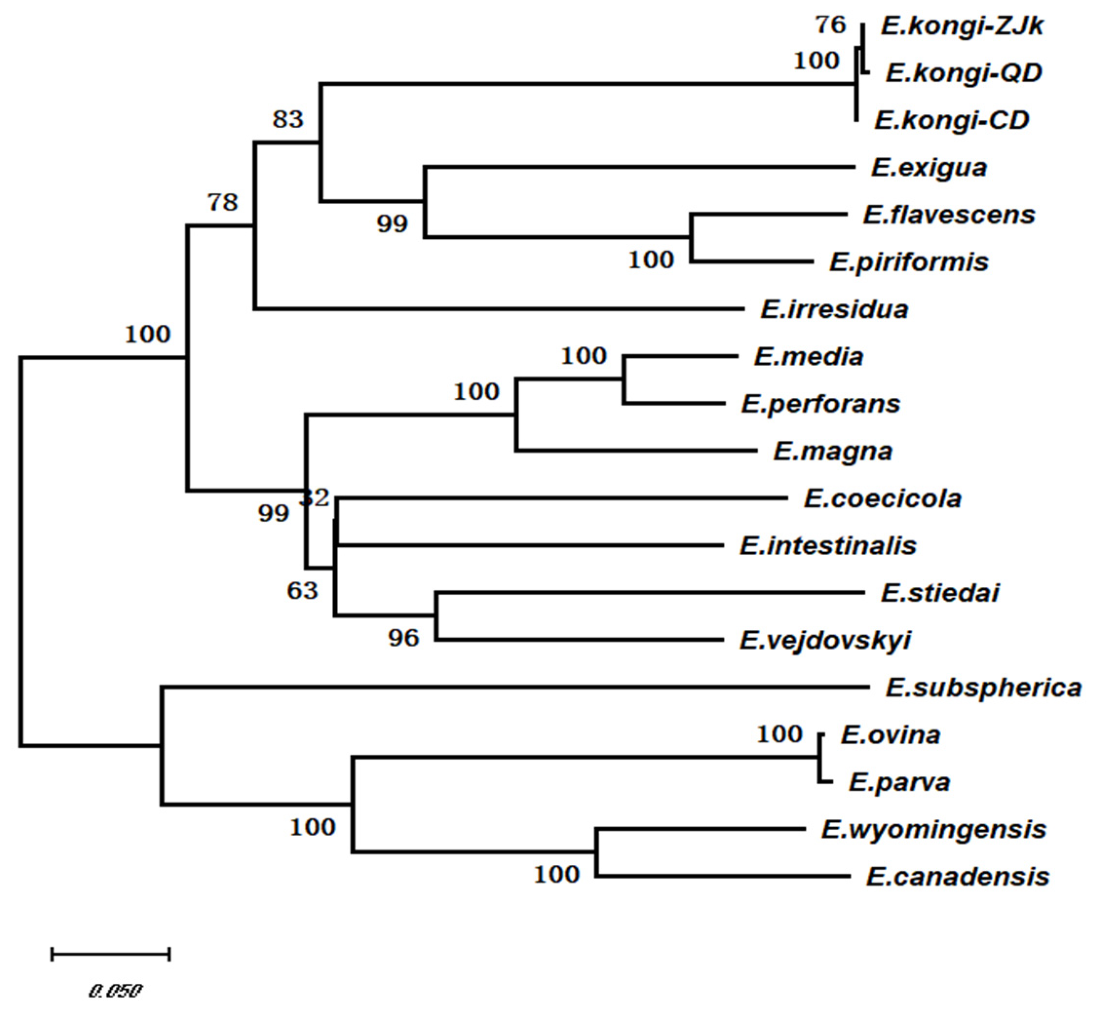 Animals 14 03524 g003